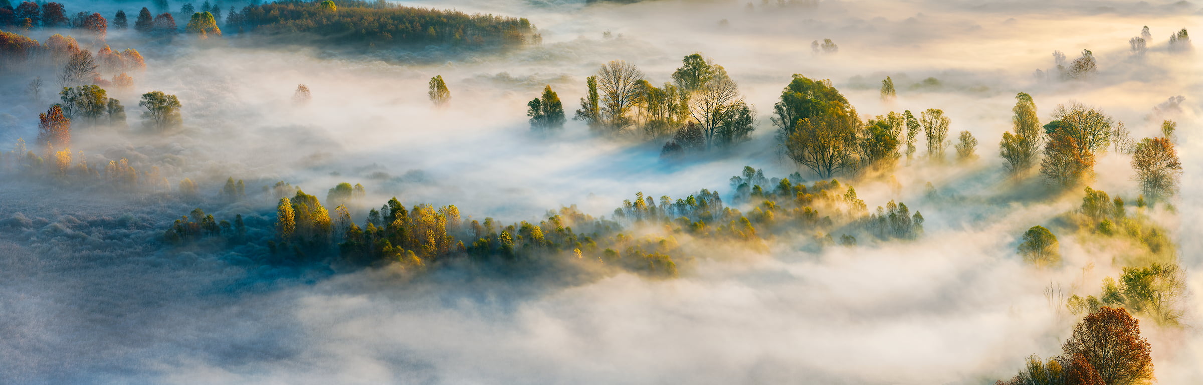 197 megapixels! A very high resolution, large-format VAST photo print of trees and fog; landscape photograph created by Ennio Pozzetti in Airuno, Lombardia, Italy.