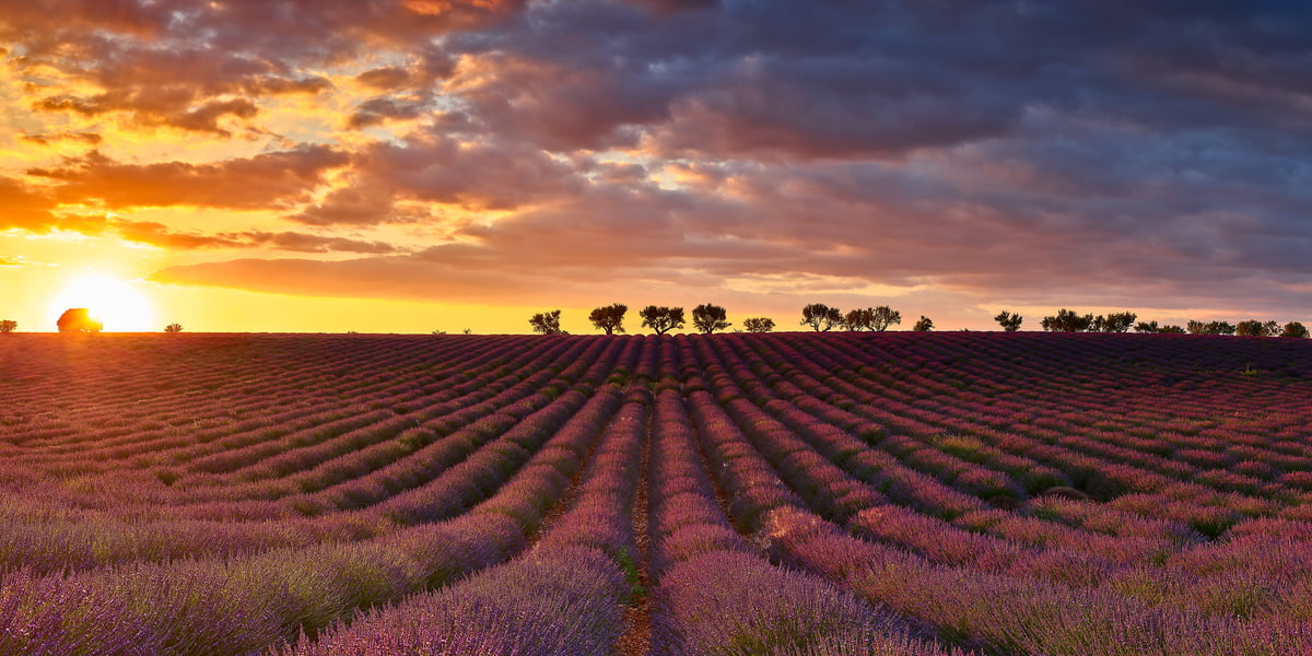 High Resolution France France: High resolution photos & prints - VAST