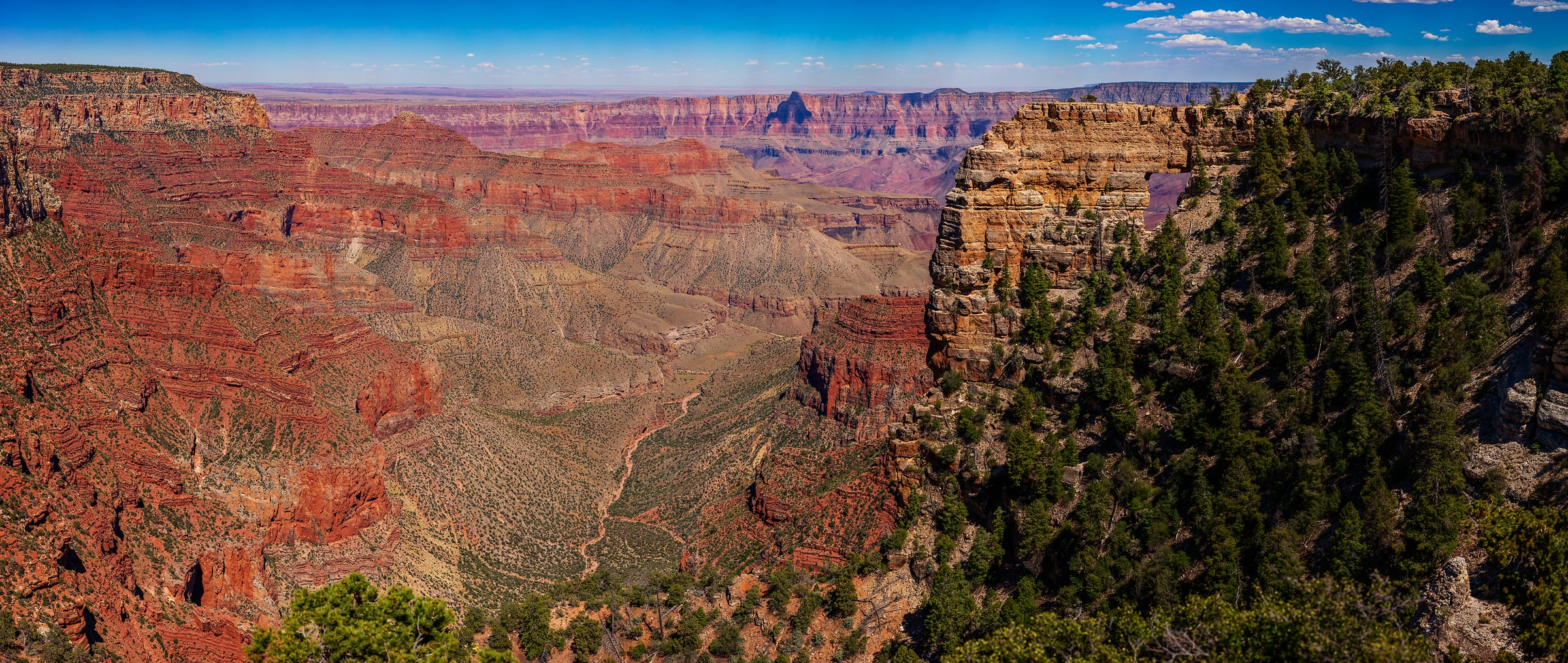 4,150 megapixels! A very high resolution, large-format VAST photo print of the Grand Canyon; landscape photograph created by John Freeman in Cape Royal, North Rim, Grand Canyon National Park, Arizona