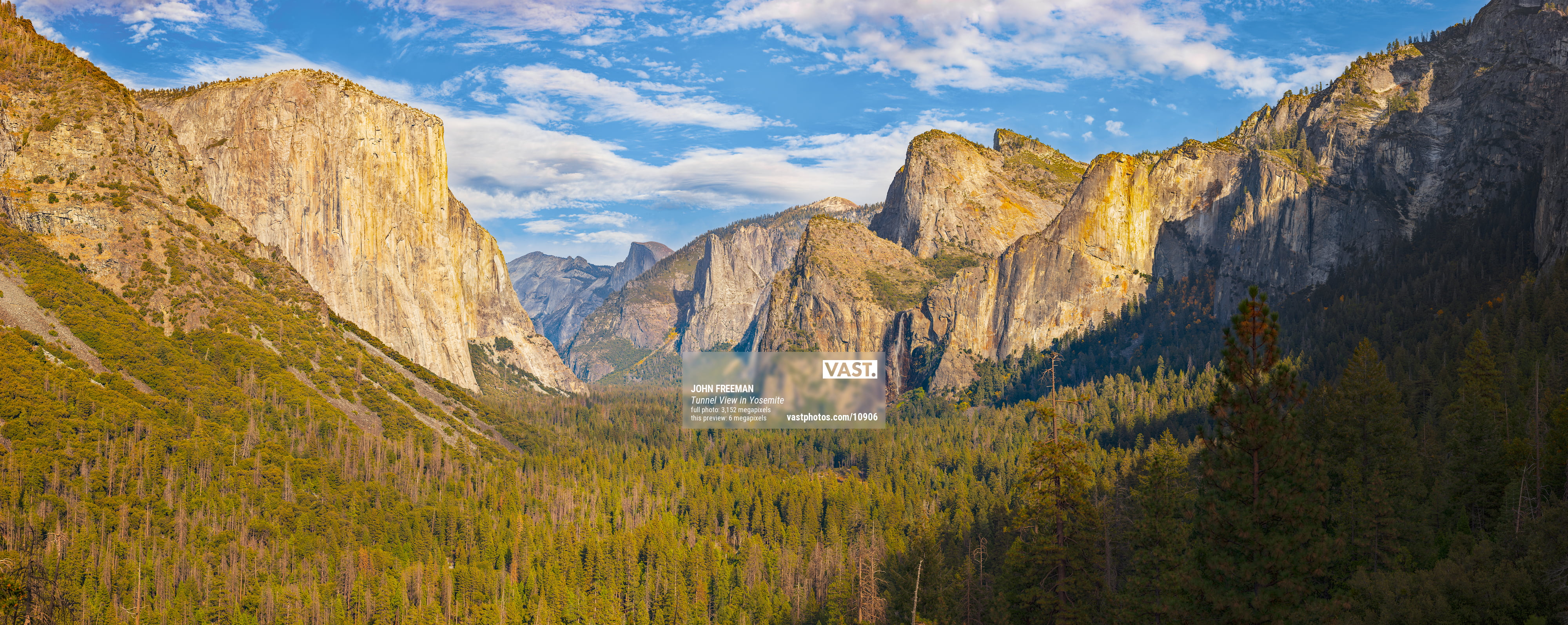 Yosemite National Park Can Glasses