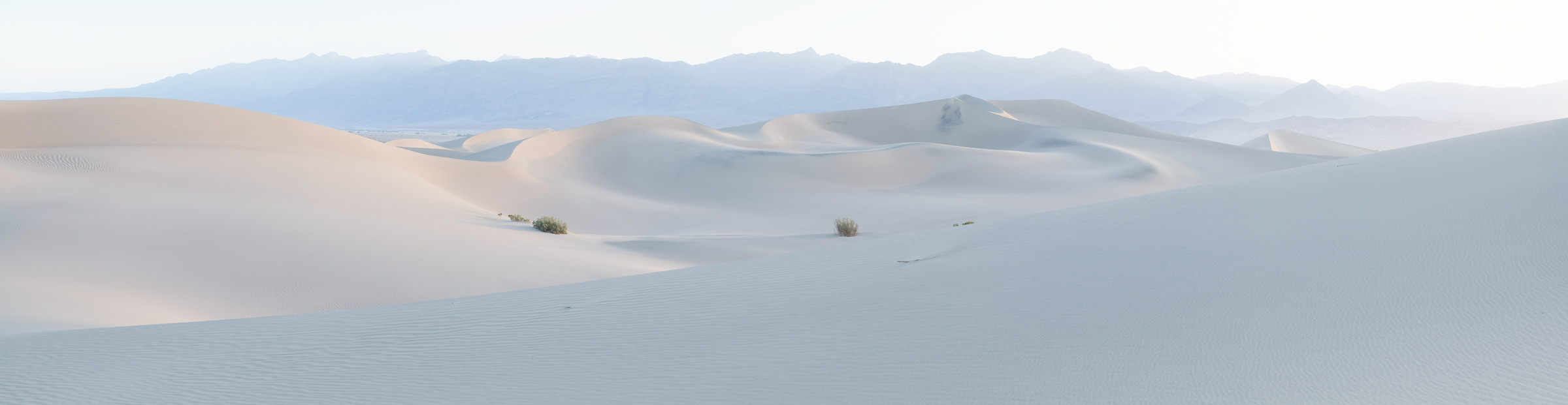 460 megapixels! A very high resolution, large-format VAST photo print of sand dunes; landscape photograph created by Greg Probst in Mesquite Flat Sand Dunes, Death Valley National Park, California.