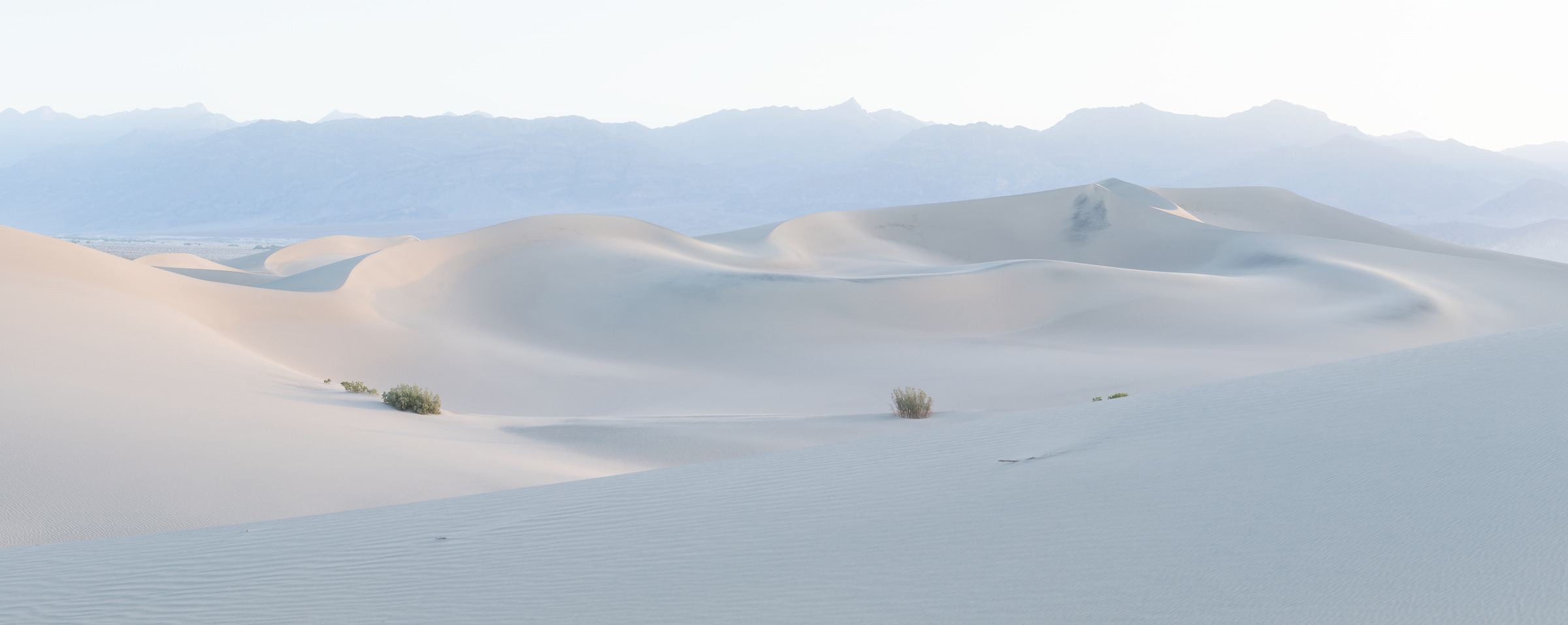 366 megapixels! A very high resolution, large-format VAST photo print of Mesquite Flat Sand Dunes in Death Valley National Park; landscape photograph created by Greg Probst in California
