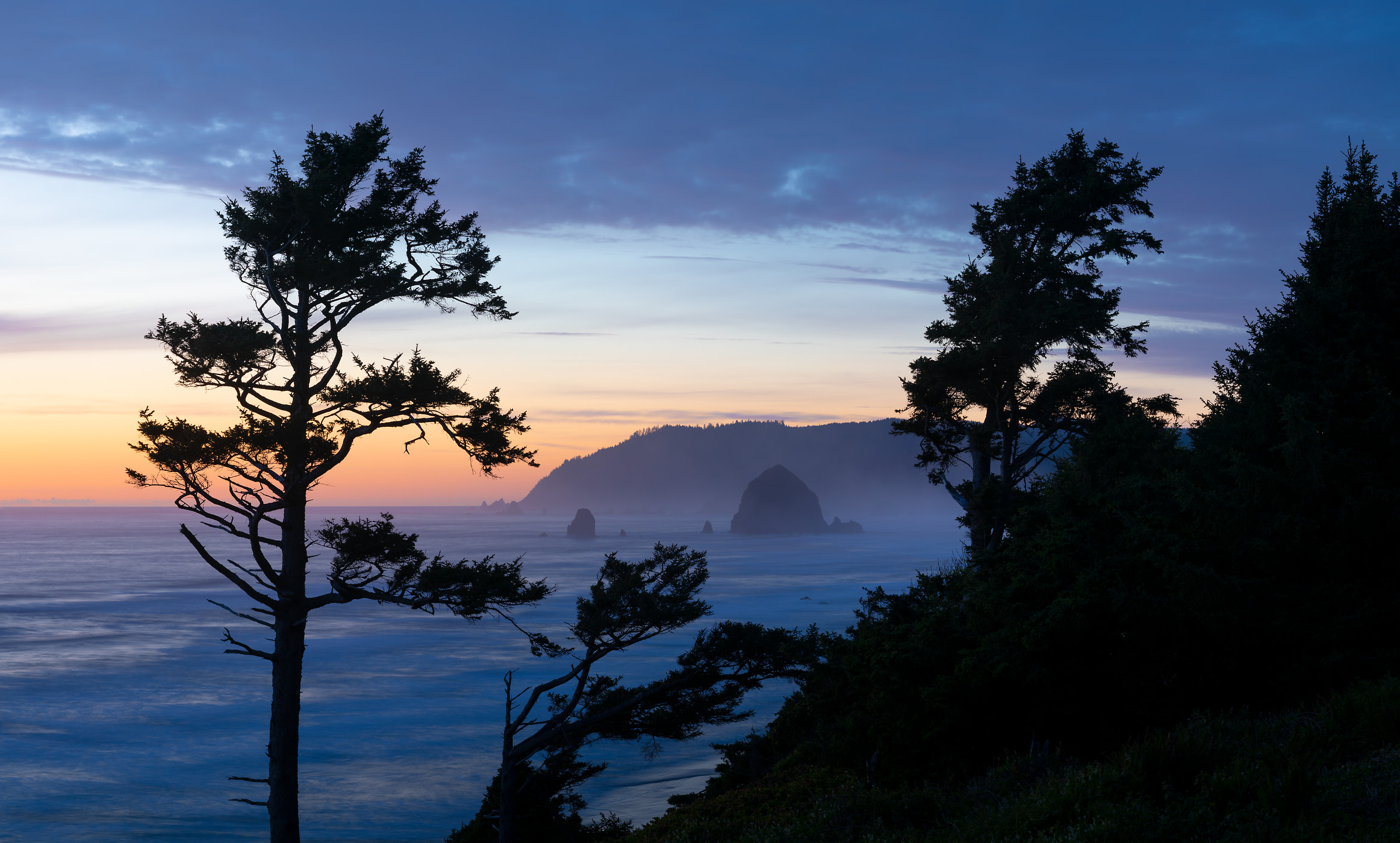 303 megapixels! A very high resolution, large-format VAST photo print of a coastal sunset with the ocean and trees; landscape photograph created by Greg Probst in Cannon Beach, Oregon
