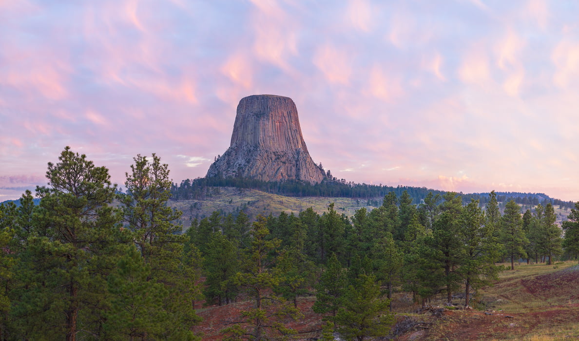 475 megapixels! A very high resolution, large-format VAST photo print of Devils Tower at sunrise; landscape photograph created by John Freeman in Devils Tower National Monument, Wyoming.