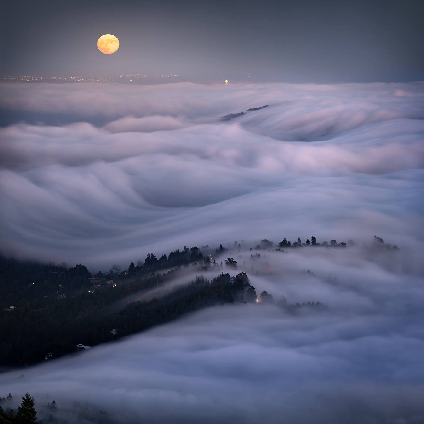 343 megapixels! A very high resolution, large-format VAST photo print of fog on a hillside with the moon at nighttime; landscape photograph created by Jeff Lewis in Mt. Tamalpais, California