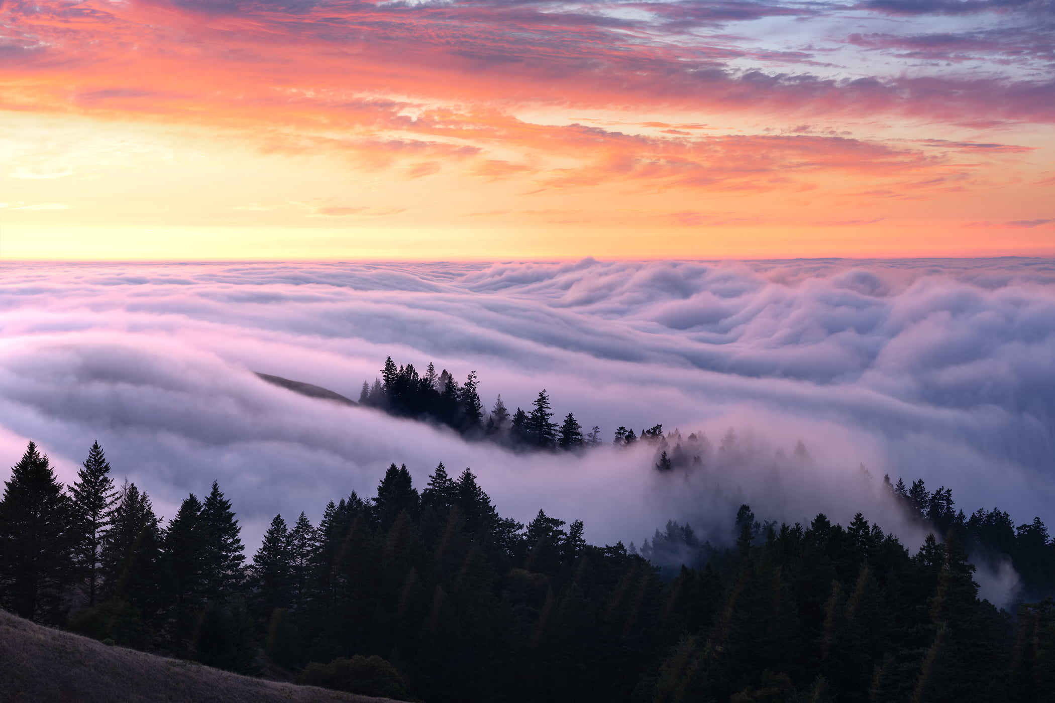 168 megapixels! A very high resolution, large-format VAST photo print of a foggy sunset; landscape photograph created by Jeff Lewis in Mt. Tamalpais, California