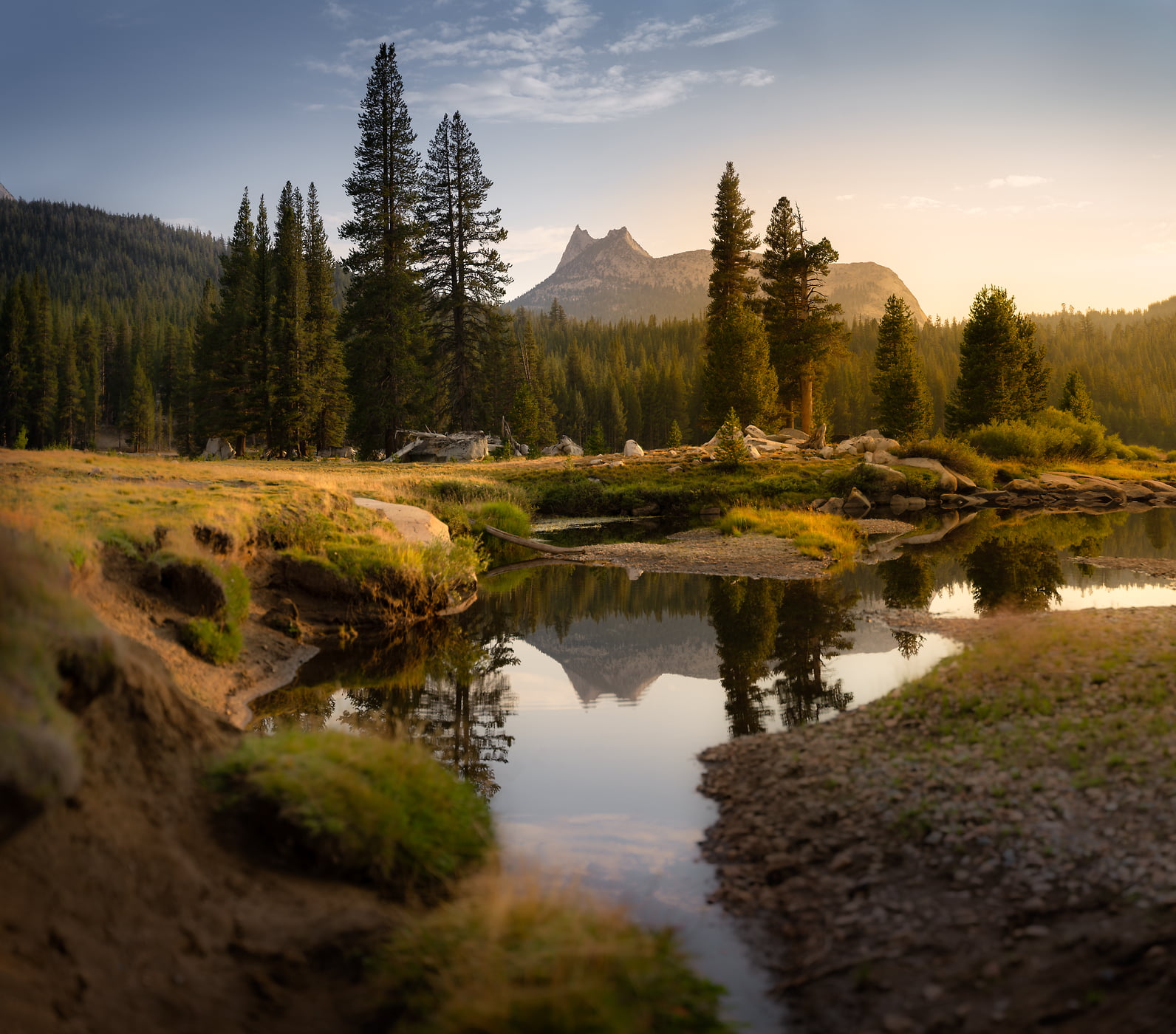285 megapixels! A very high resolution, large-format VAST photo print of a nature scene with a stream and a forest and mountain in the background; peaceful nature landscape photograph created by Jeff Lewis in Tuolumne Meadows, Yosemite National Park, California