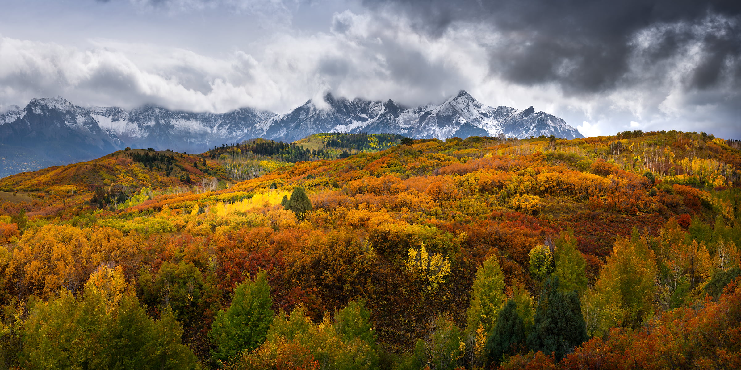 511 megapixels! A very high resolution, large-format VAST photo print of autumn foliage and mountains; landscape photograph created by Jeff Lewis in Ridgway, Colorado.