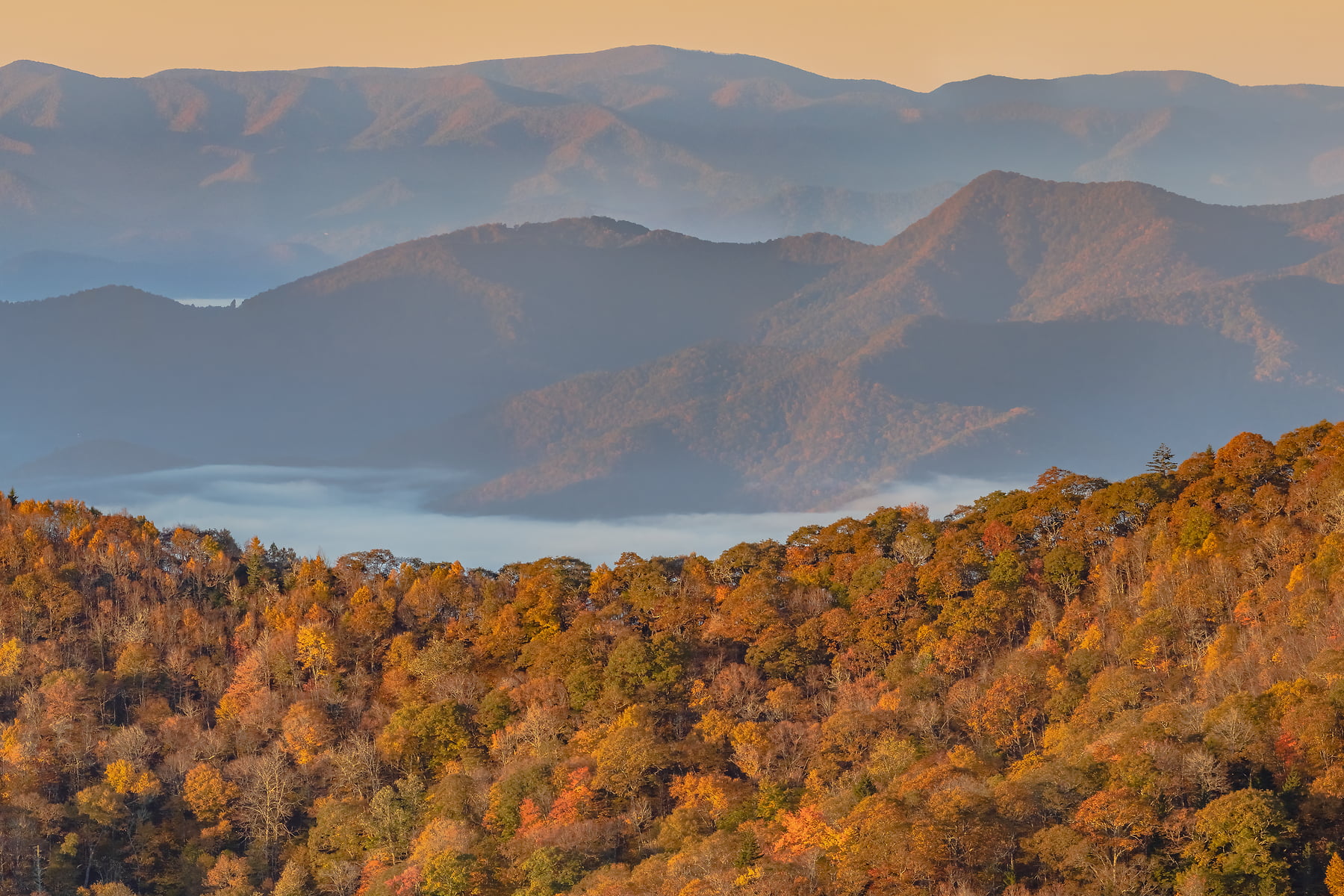 Blue Ridge Mountains - Landscape photos by VAST