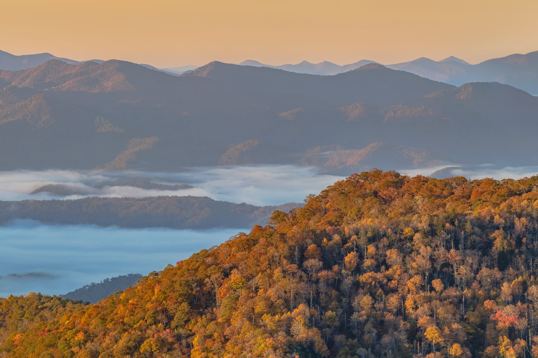 Blue Ridge Mountains - Landscape photos by VAST