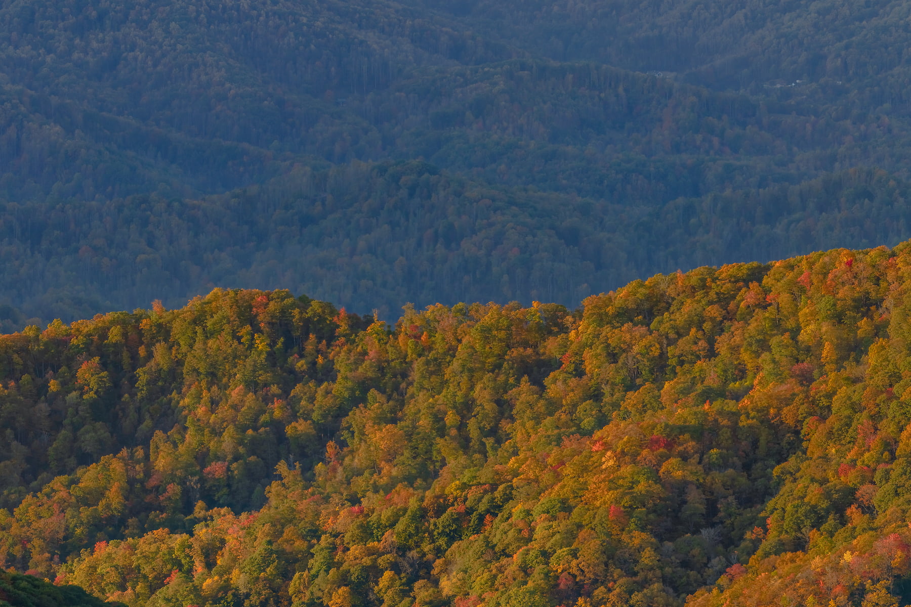 Blue Ridge Mountains - Landscape photos by VAST