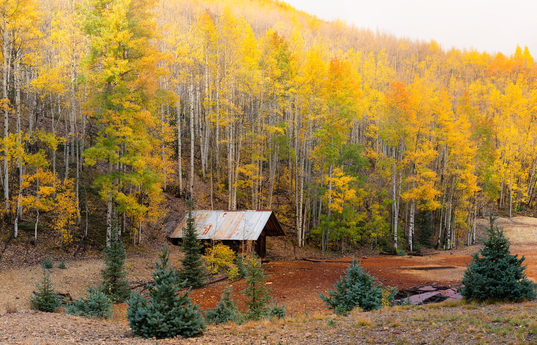 573 megapixels! A very high resolution, large-format VAST photo print of a Colorado mine in front of autumn foliage on aspen trees; photograph created by Phillip Noll in Ironton Park, Colorado.