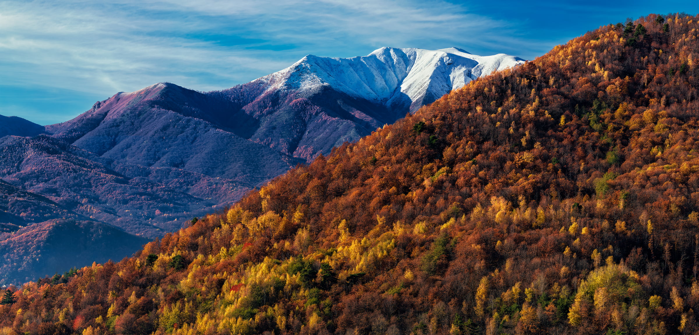 315 megapixels! A very high resolution, large-format VAST photo print of autumn foliage on a hillside with a mountain in the background; landscape photograph created by Duilio Fiorille in Valgioie, Piedmont, Italy.