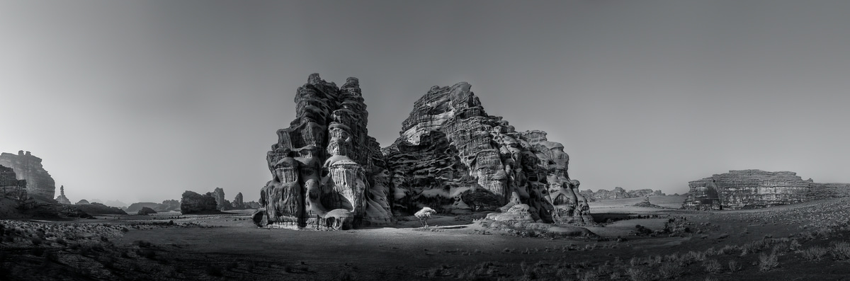 10 images contrastées en noir et blanc : thème nature • Petit Sioux
