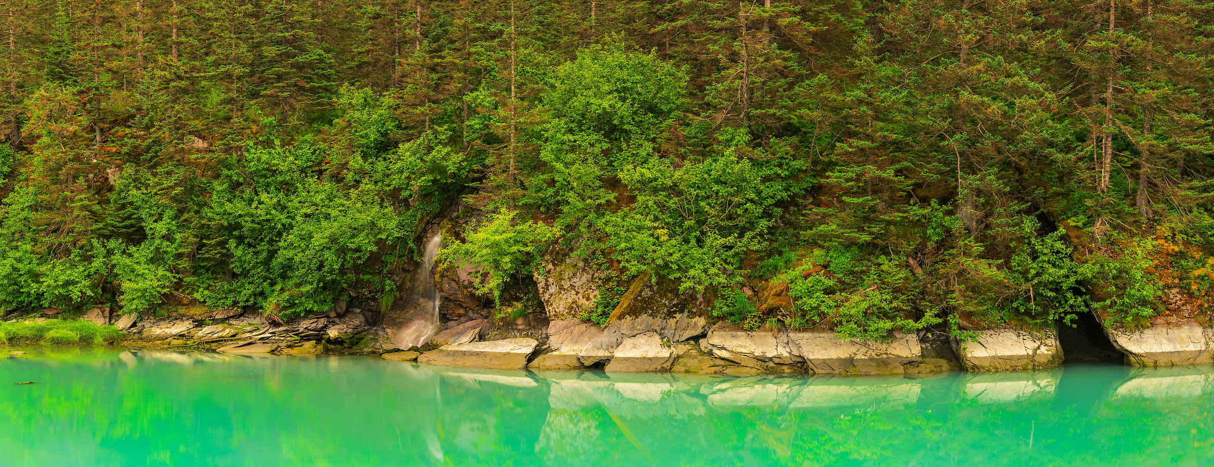 879 megapixels! A very high resolution, large-format wall mural photo print of a pond with green foliage and green water; nature photograph created by John Freeman in Port Valdez, Alaska, USA