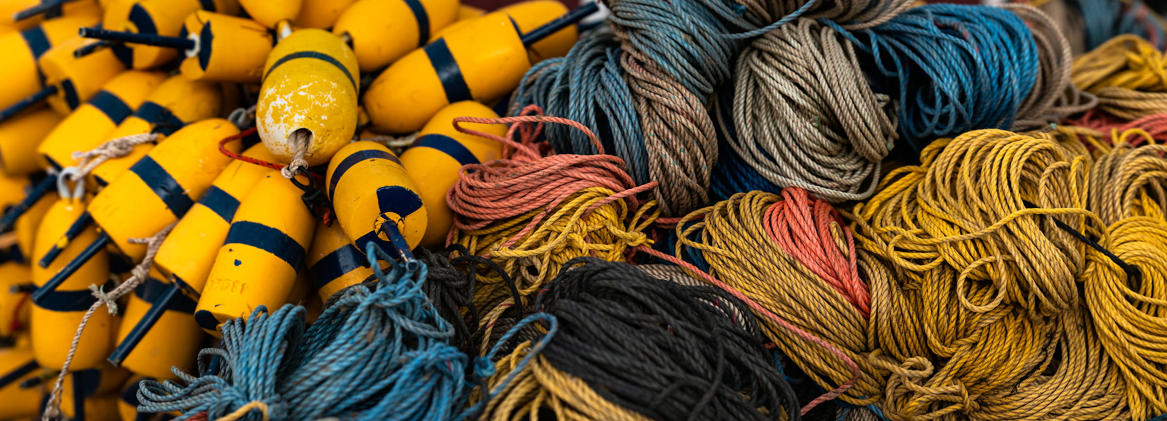 235 megapixels! A very high resolution, large-format VAST photo print of buoys and ropes; fine art photograph created by Aaron Priest in Baldwin Corners, Bernard, Maine
