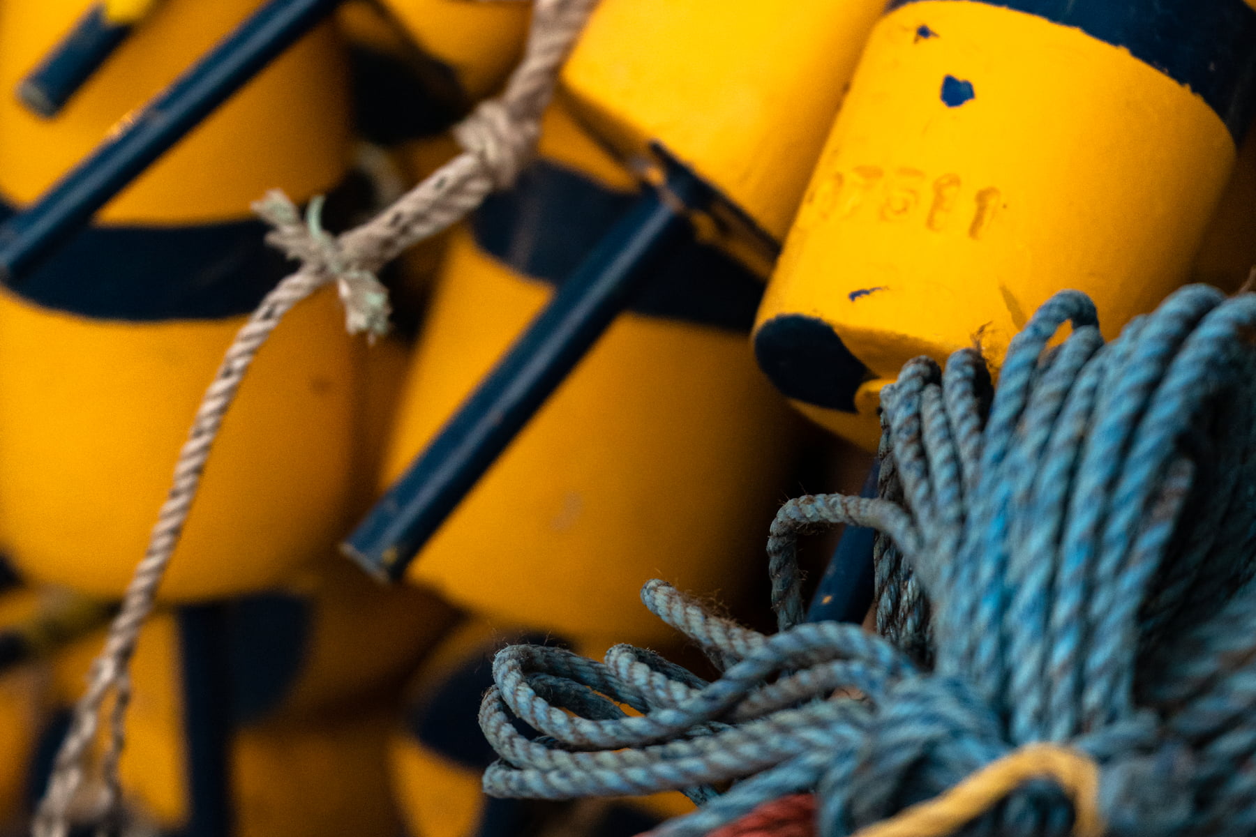 Vast Rope Artistic photographs of buoys and ropes - VAST