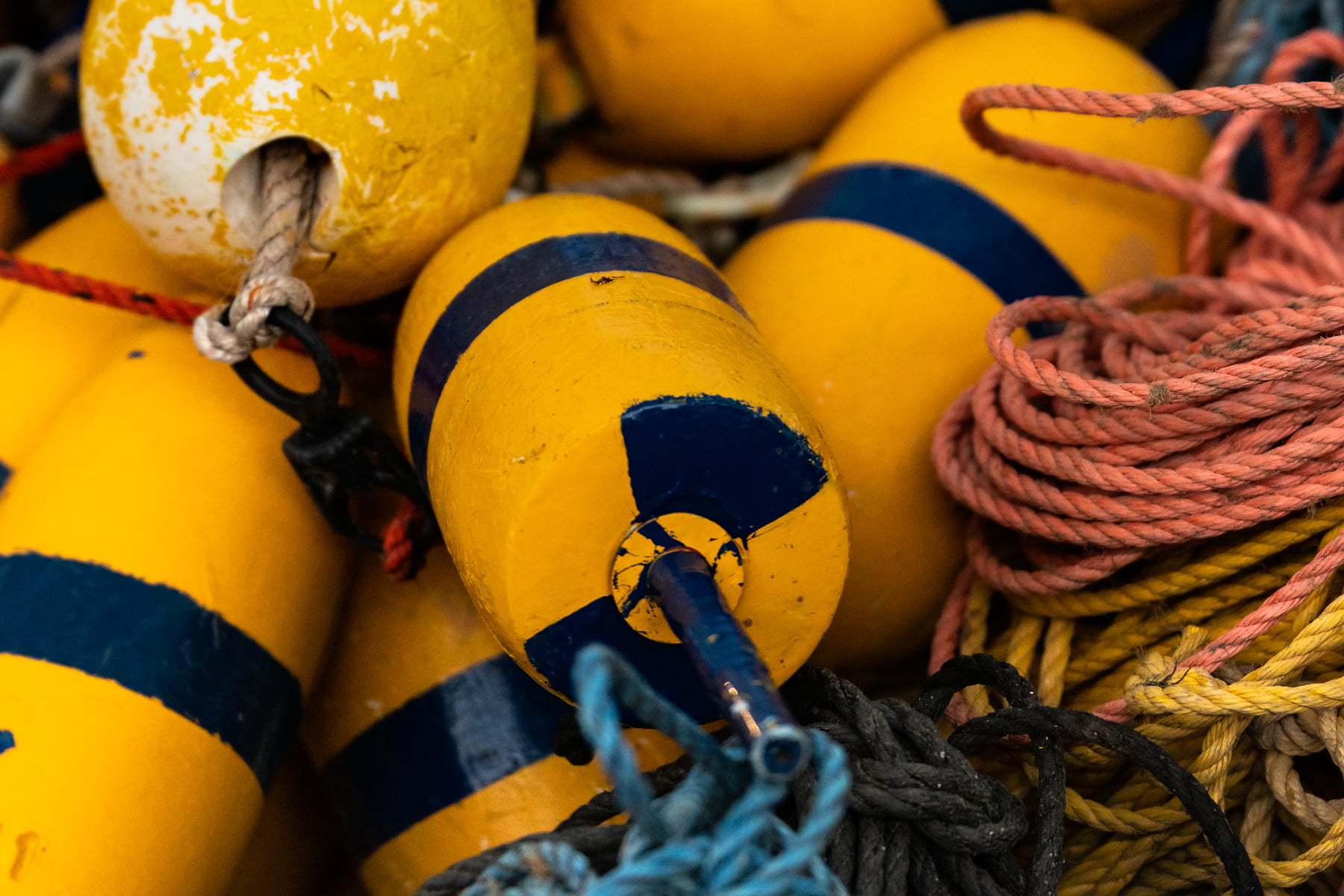 Buoy With Rope Artistic photographs of buoys and ropes - VAST