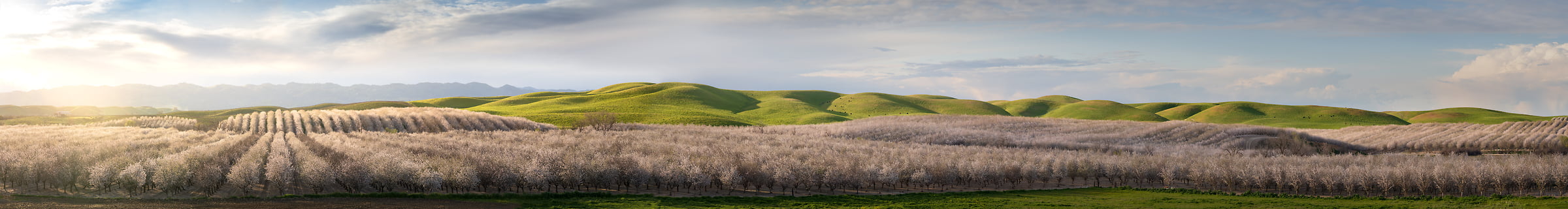 639 megapixels! A very high resolution, large-format VAST panorama photo of the Central Valley; landscape photograph created by Jeff Lewis in Central Valley, California
