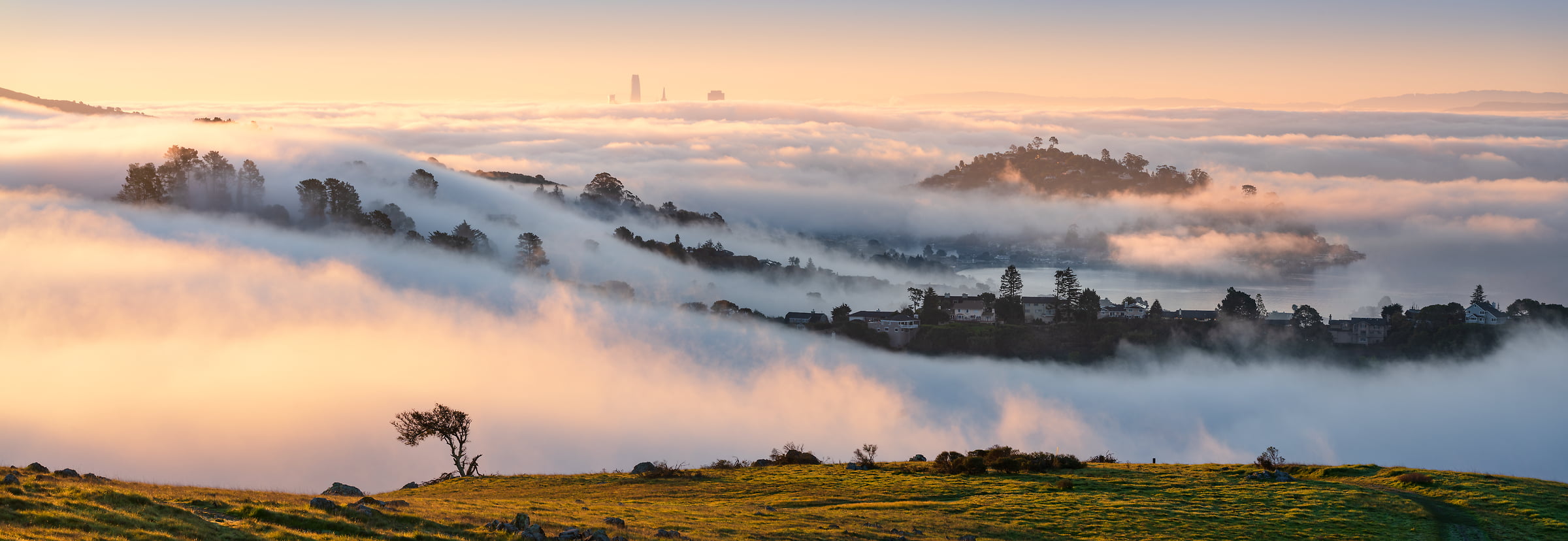 116 megapixels! A very high resolution, art decor photo print of a San Francisco landscape; photograph created by Jeff Lewis near San Francisco in Marin County, California.