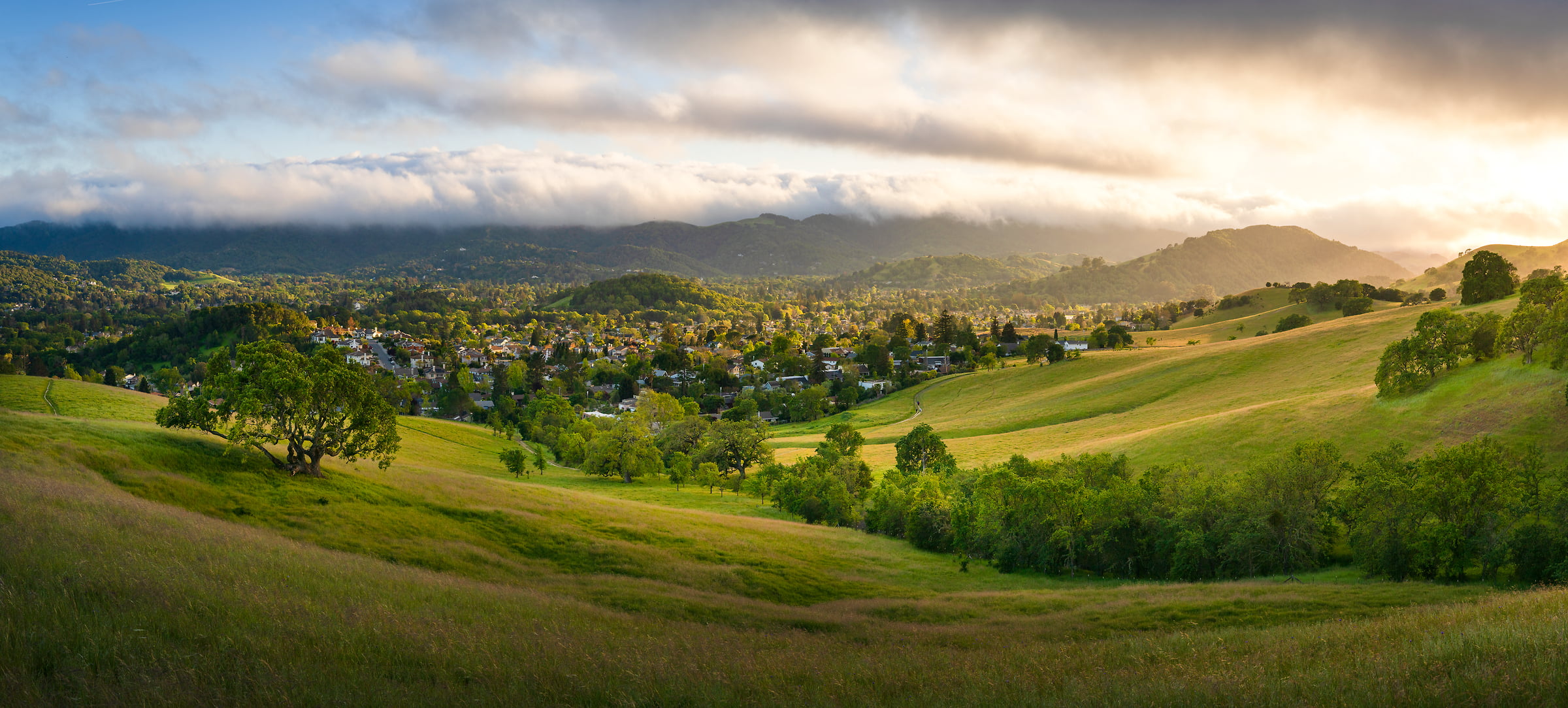 179 megapixels! A very high resolution, large-format VAST photo print of a green spring landscape with rolling hills; landscape photograph created by Jeff Lewis in Novato, California.