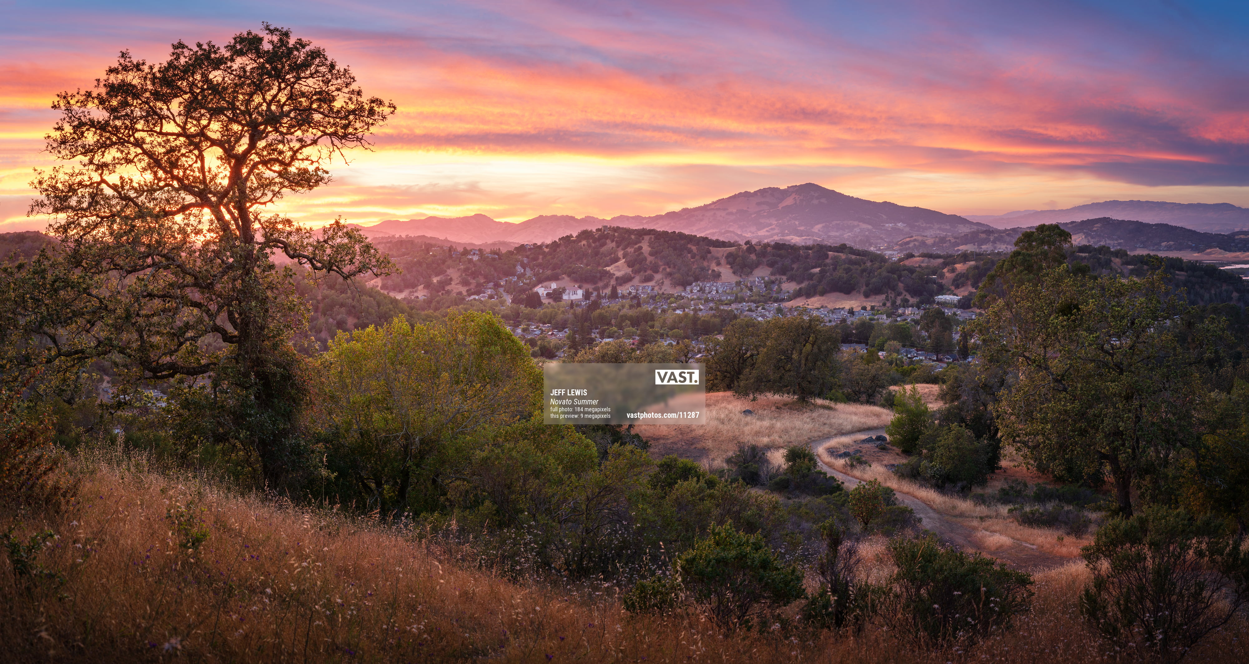 Teen Wolf Style — What: Lands' End Medium Open Top Natural Canvas