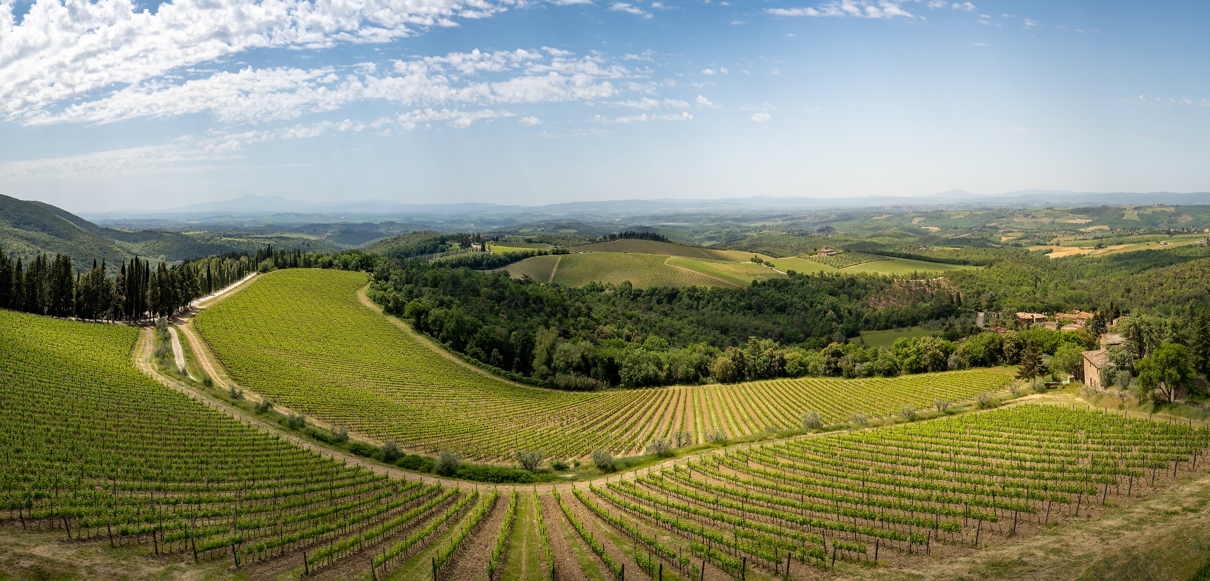 558 megapixels! A very high resolution, large-format VAST photo print of wine vineyards; landscape photograph created by Justin Katz in Castello di Brolio, Gaiole in Chianti, Tuscany, Italy