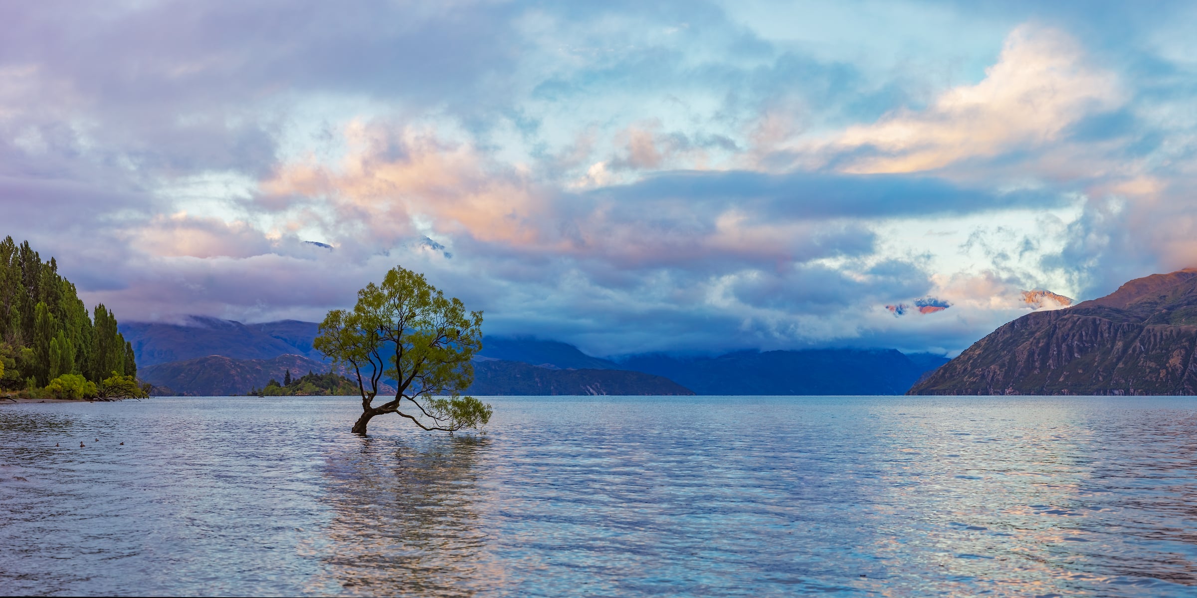 468 megapixels! A very high resolution, large-format VAST photo print of a tree in a lake at sunset; art photograph created by John Freeman in Wanaka Lake, Wanaka, New Zealand