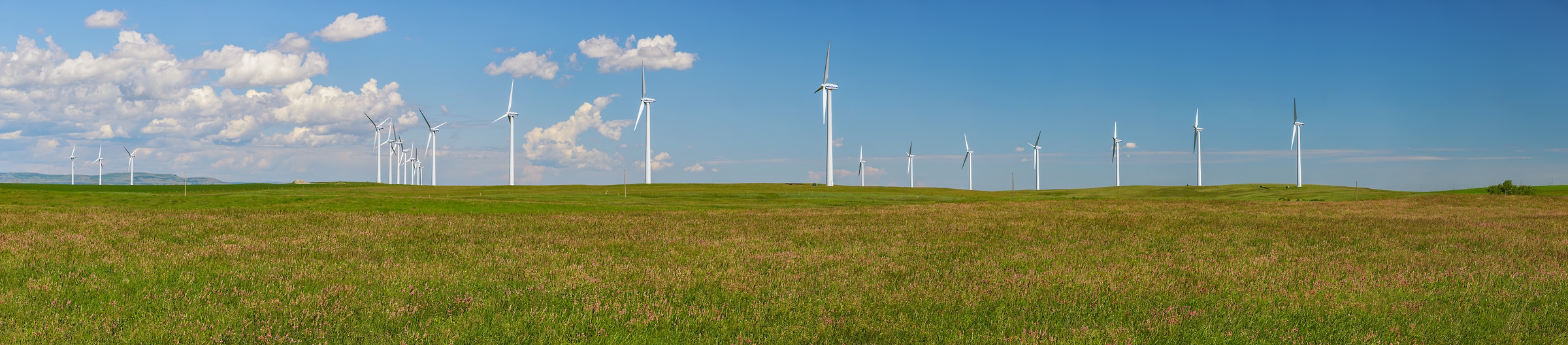 2,202 megapixels! A very high resolution, large-format VAST photo print of wind turbines in a grassy field; landscape photograph created by Scott Dimond in Fort Macleod, Alberta, Canada.