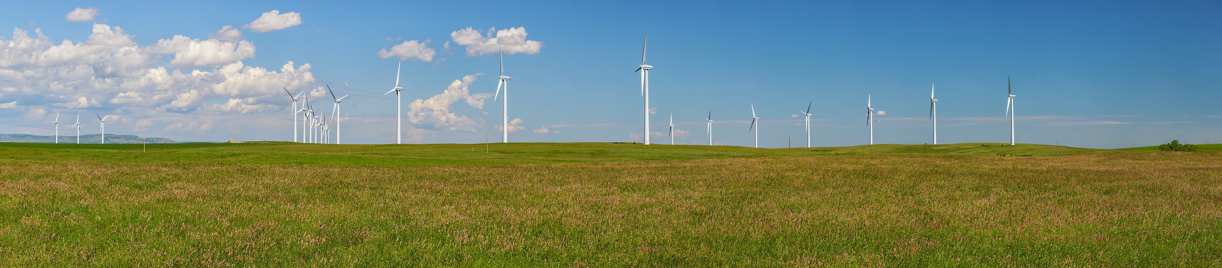 2,202 megapixels! A very high resolution, large-format VAST photo print of wind turbines in a grassy field; landscape photograph created by Scott Dimond in Fort Macleod, Alberta, Canada