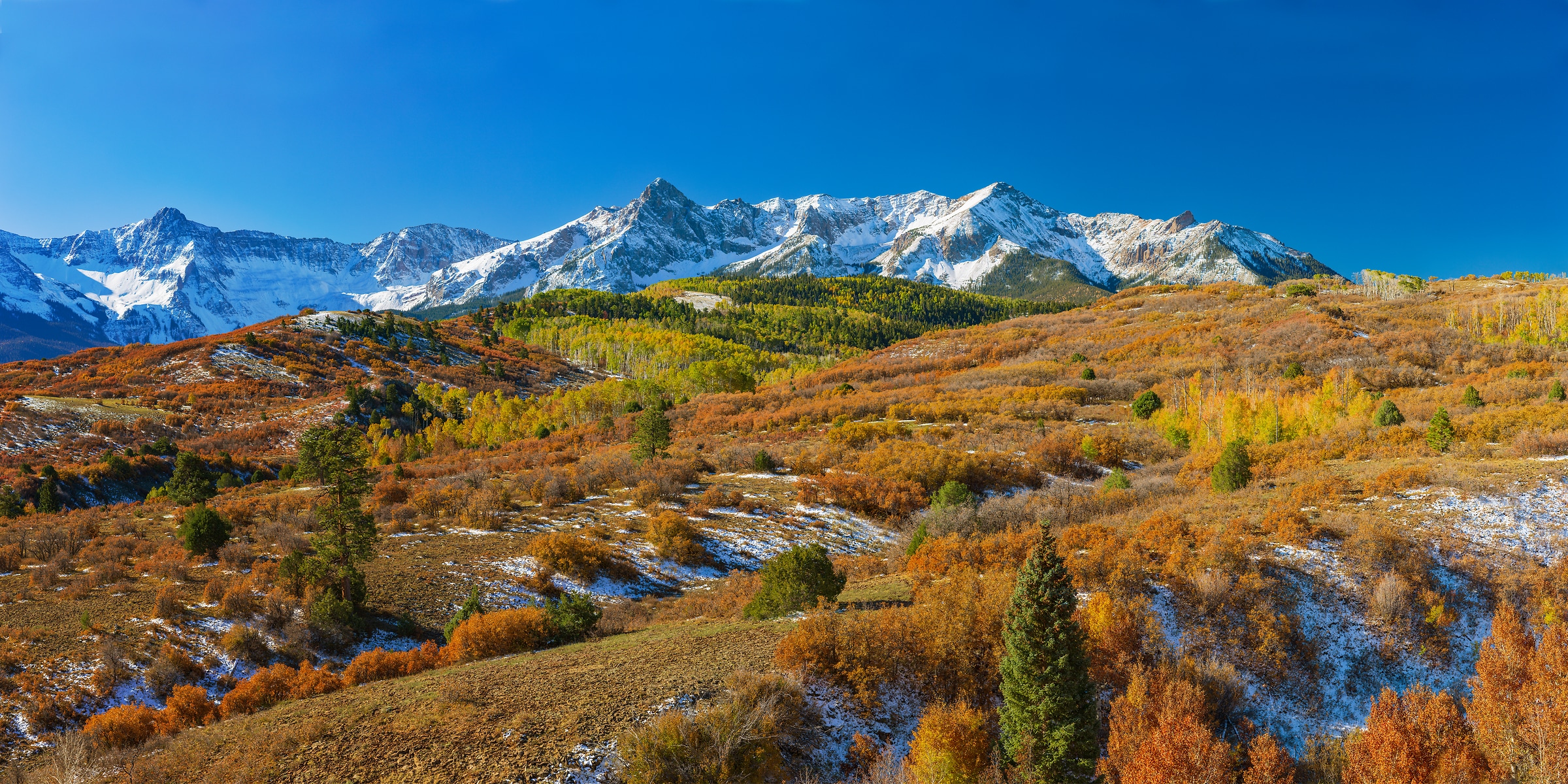 421 megapixels! A very high resolution, large-format VAST photo print of the Dallas Divide mountains in fall with snow and autumn foliage; landscape photograph created by John Freeman in Dallas Divide Overlook, Ridgeway, Colorado