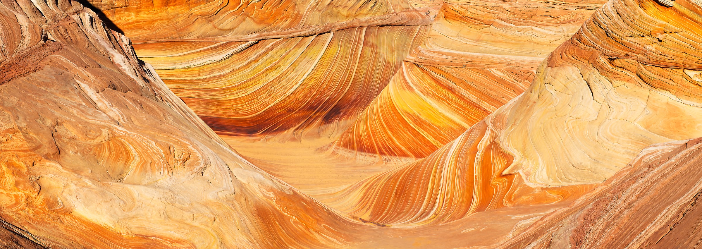 276 megapixels! A very high resolution, large-format VAST photo print of The Wave in Paria Canyon-Vermilion Cliffs Wilderness, Arizona; photograph created by David David.