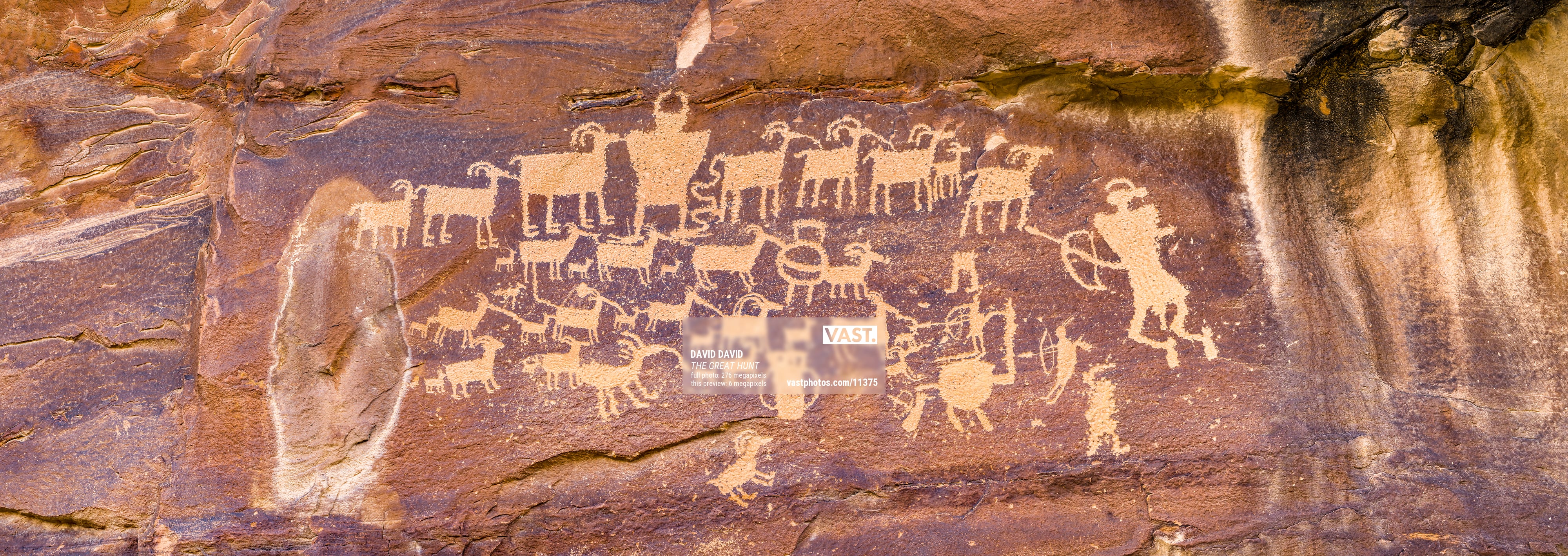 Pectoglyph Rabbit Petroglyphs: Wall murals by VAST
