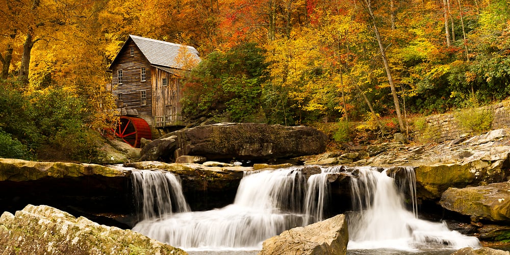 autumn-photo-wall-art-1000x584