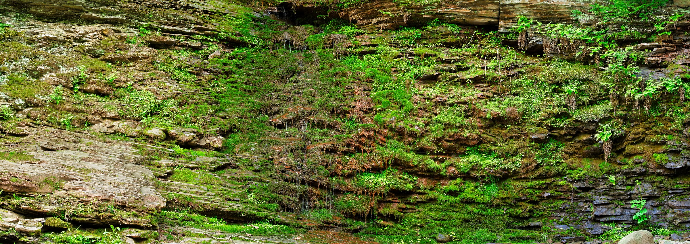 276 megapixels! A very high resolution, large-format VAST photo print of moss on a rock wall with some water running down it; nature photograph created by David David in Porcupine Mountains Wilderness State Park, Michigan.