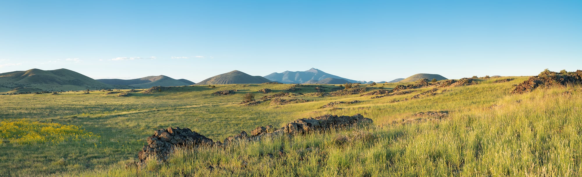 Panorama of grassland - VAST
