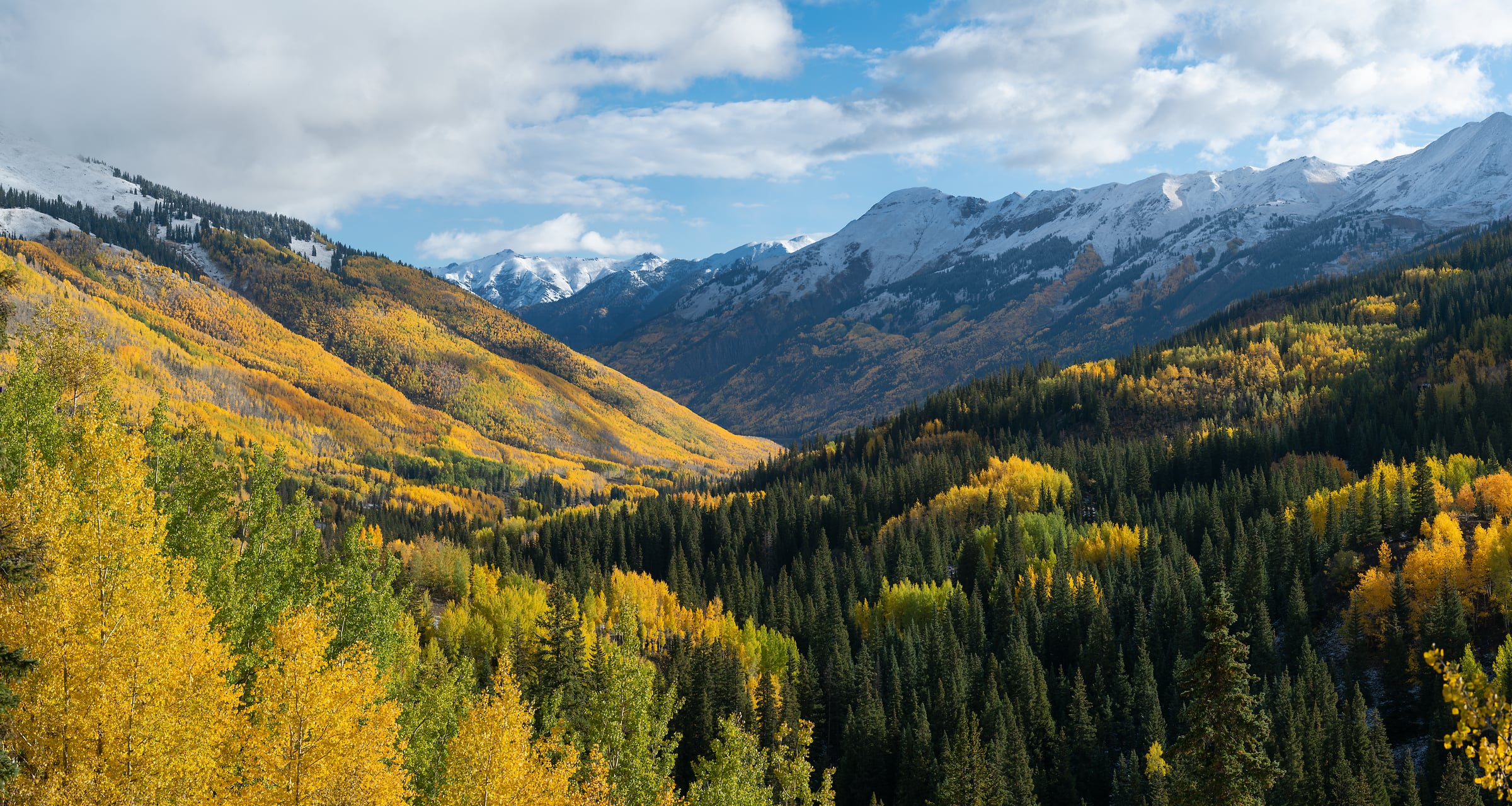 418 megapixels! A very high resolution, large-format VAST photo print of an autumn landscape with snowy mountains and fall foliage; photograph created by Greg Probst in Red Mountain Pass, Colorado.