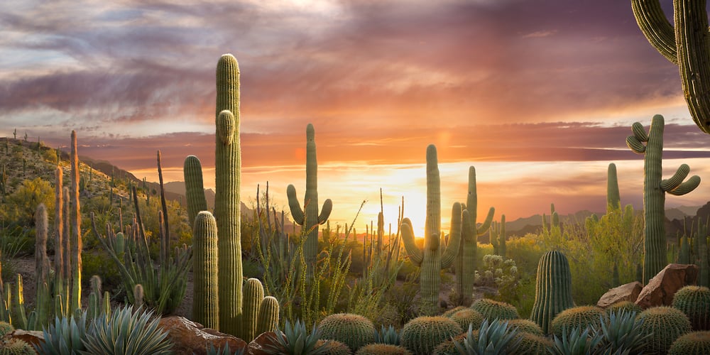 desert-sunset-photo-1000x584.