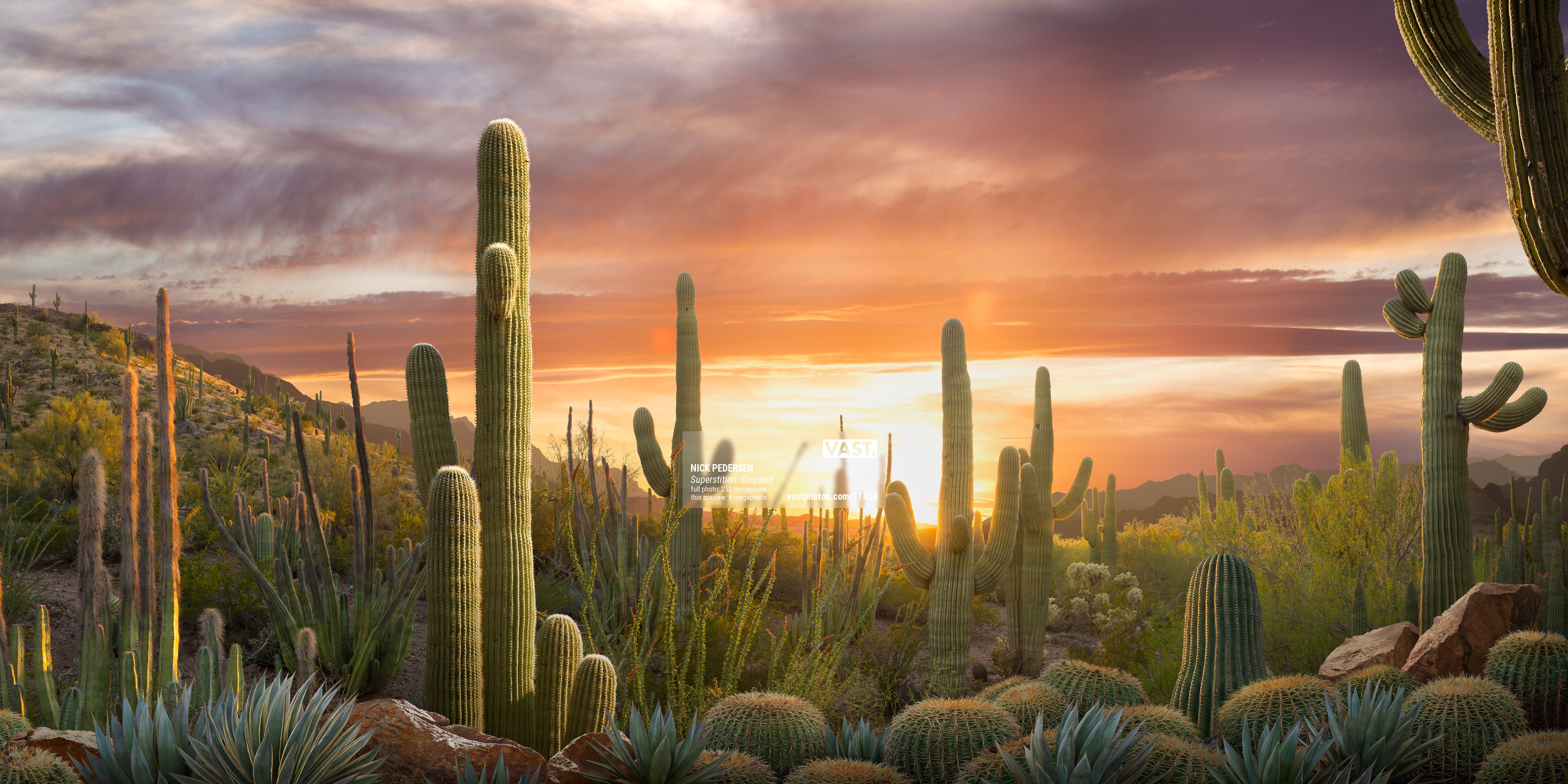 Desert Sunset Photos VAST desert-sunset-photos-vast