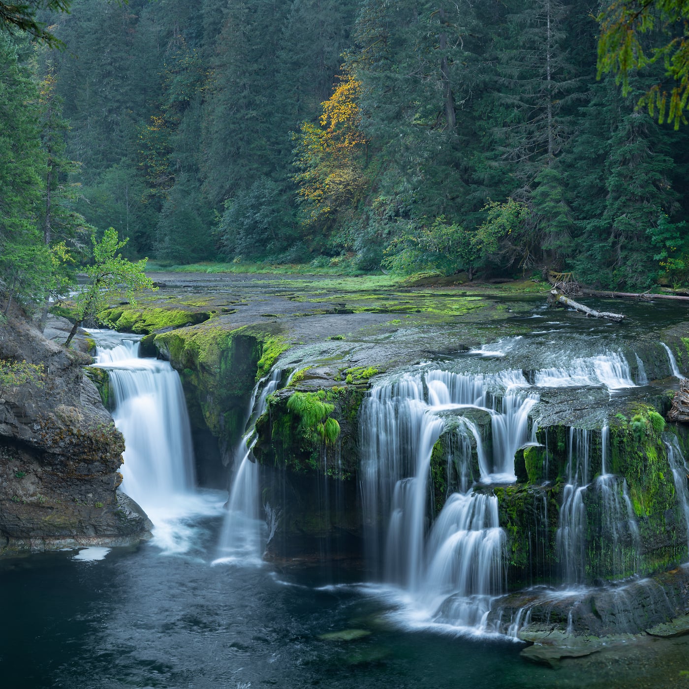 325 megapixels! A very high resolution, square photo print of a beautiful waterfall in a forest; nature photograph created by Greg Probst in Gifford Pinchot National Forest, Washington.