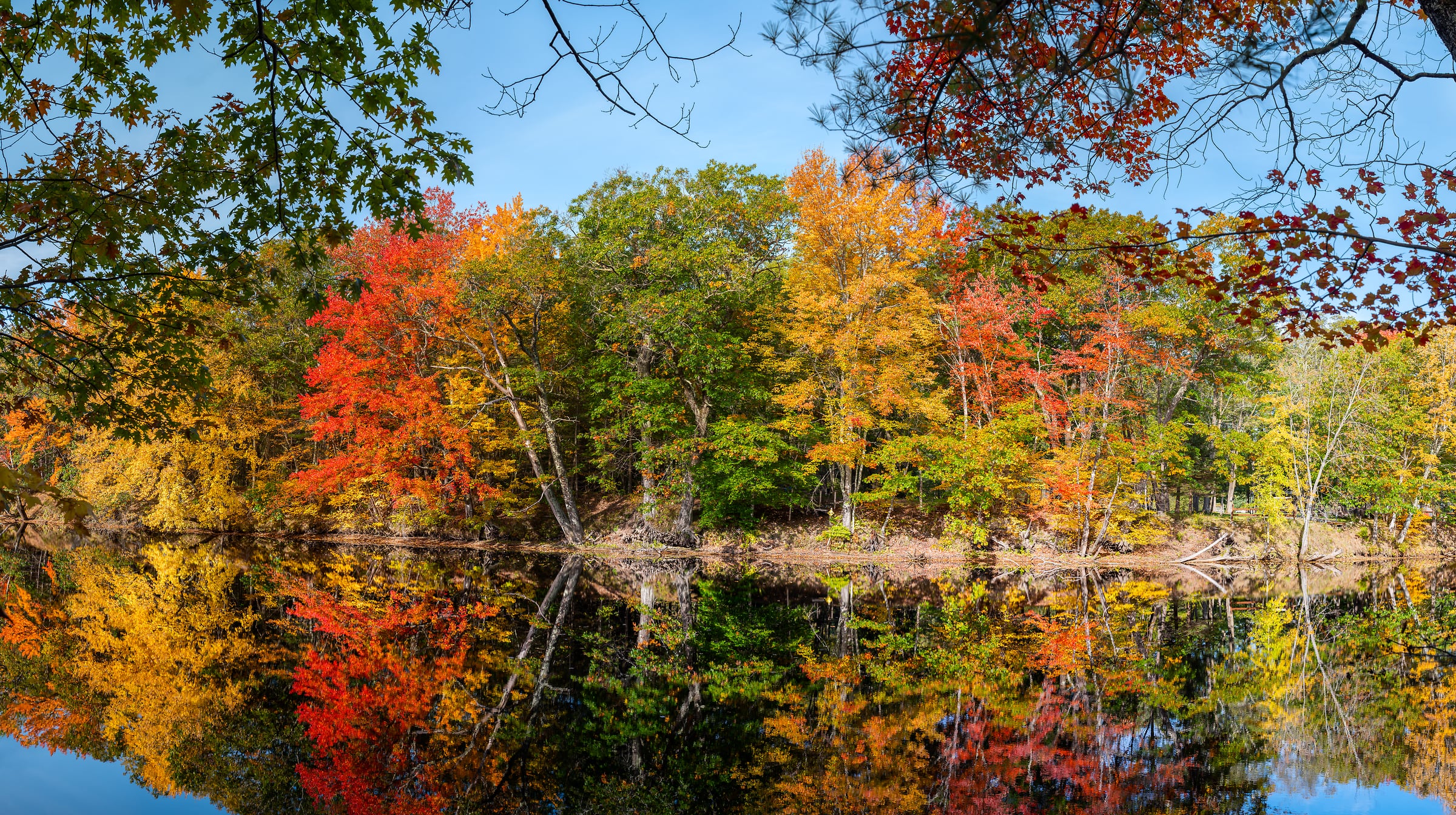 1,102 megapixels! A very high resolution, large-format VAST photo print of a river in autumn with trees and fall foliage reflecting in the water; nature photograph created by Jim Tarpo in Sacco River in Maine.