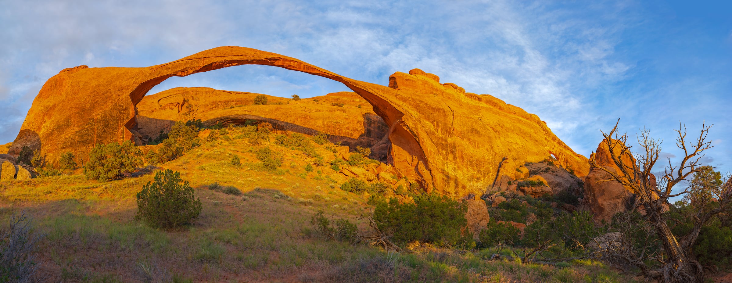 4,749 megapixels! A very high resolution, large-format VAST photo print of Landscape Arch in Arches National Park; photograph created by John Freeman in Arches National Park, Utah.