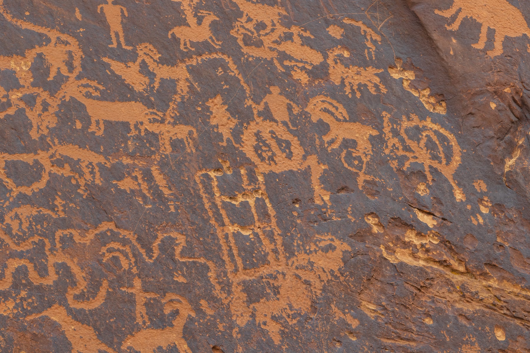 Pectoglyph Rabbit Petroglyphs - Ultra high resolution photos by VAST