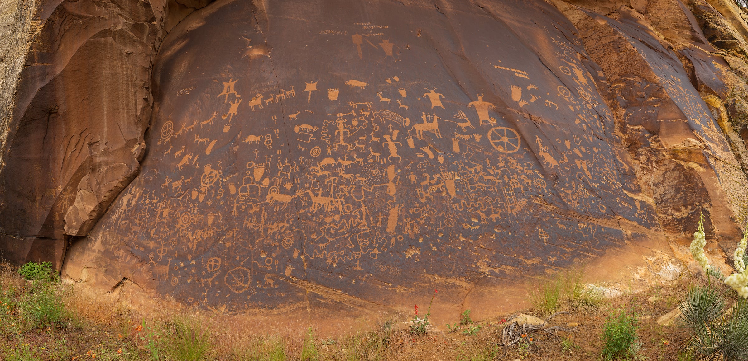 4,433 megapixels! A very high resolution, large-format VAST photo print of petroglyphs on a rock wall; archeological photograph created by John Freeman in Bears Ears National Monument, Utah.
