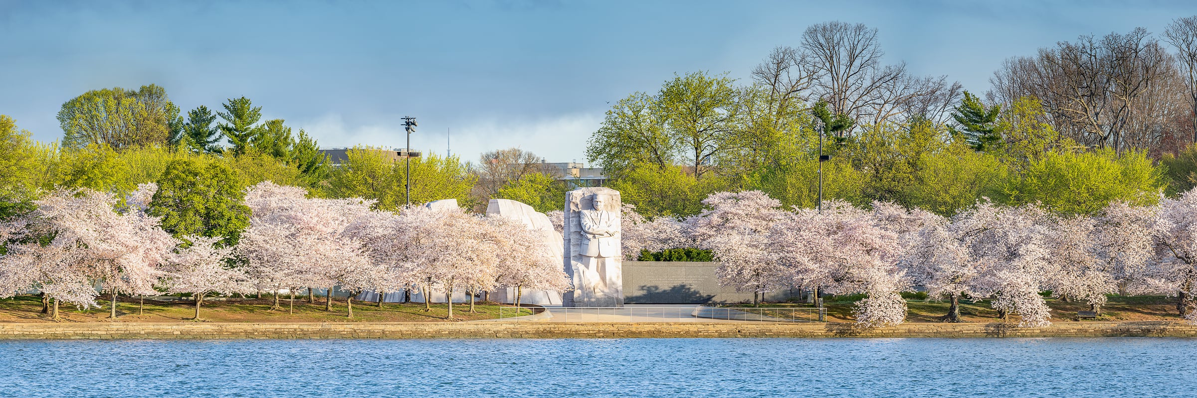 259 megapixels! A very high resolution, large-format VAST photo print of the Martin Luther King, Jr. Memorial in Washington, D.C. with cherry blossoms and the tidal basin in the foreground; photograph created by Tim Lo Monaco on the National Mall in Washington, D.C.