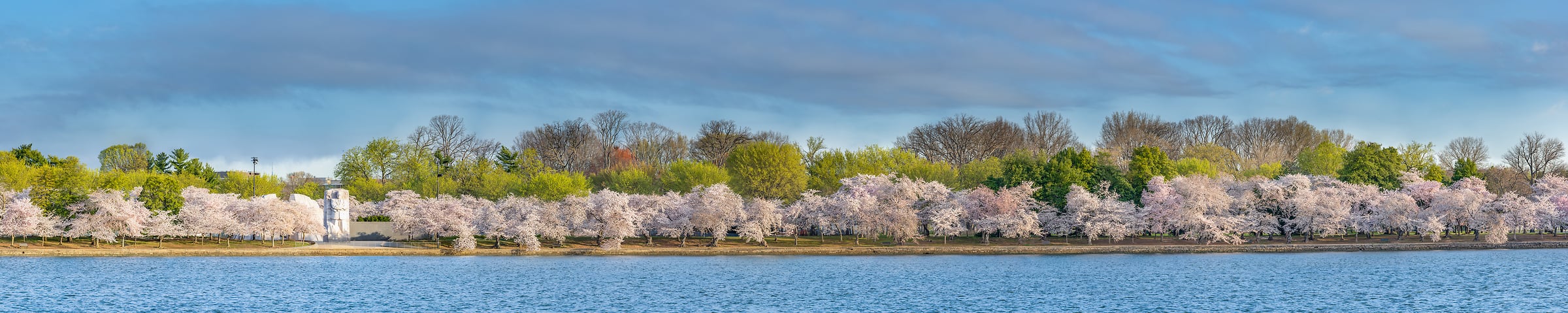 1,343 megapixels! A very high resolution, large-format VAST photo print of the cherry blossoms around the Tidal Basin in Washington DC with the Martin Luther King, Jr. Memorial; photograph created by Tim Lo Monaco on the National Mall in Washington, D.C.