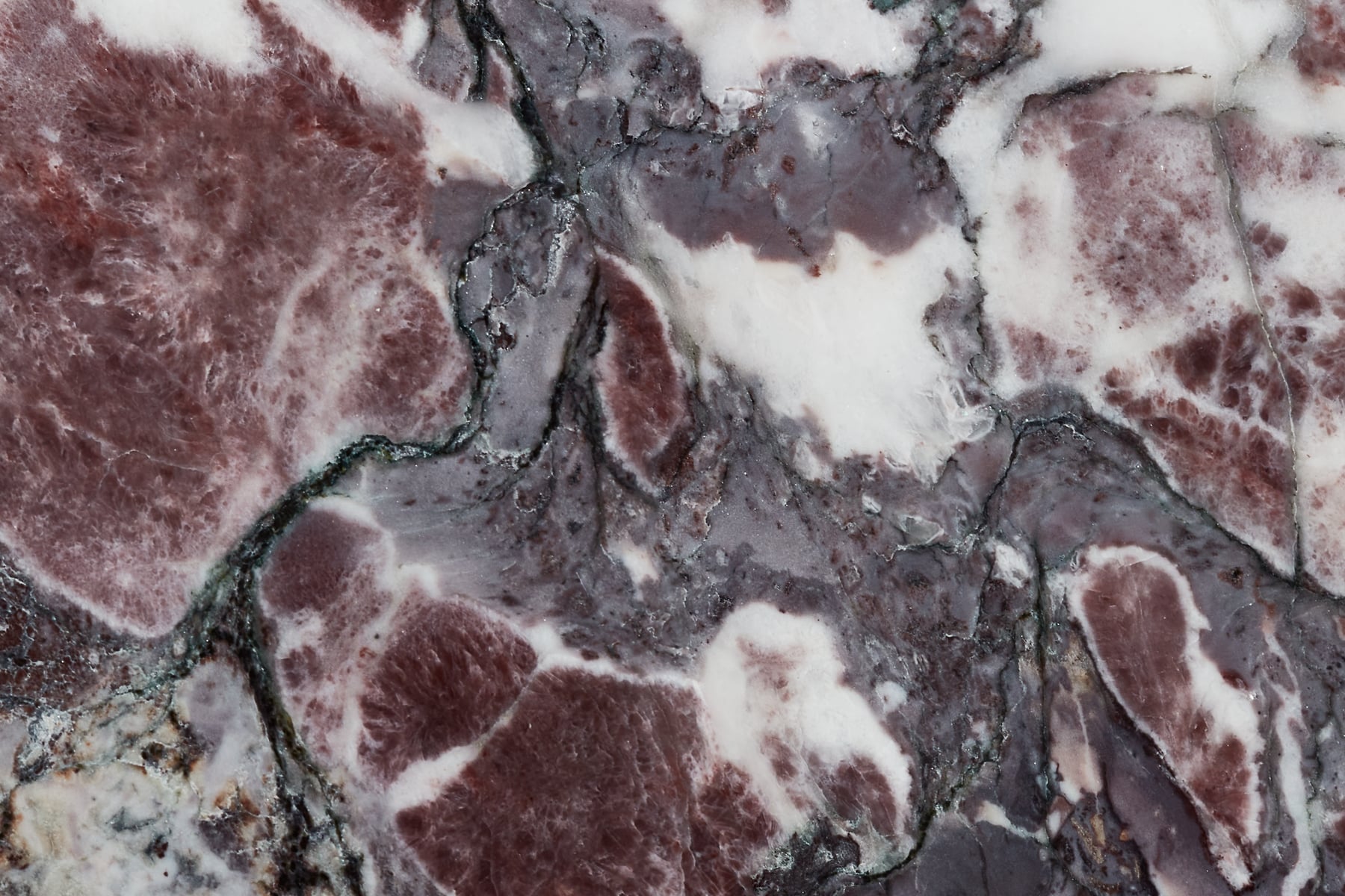 Breccia Capraia Marble Stone: Ultra-high-res texture photo