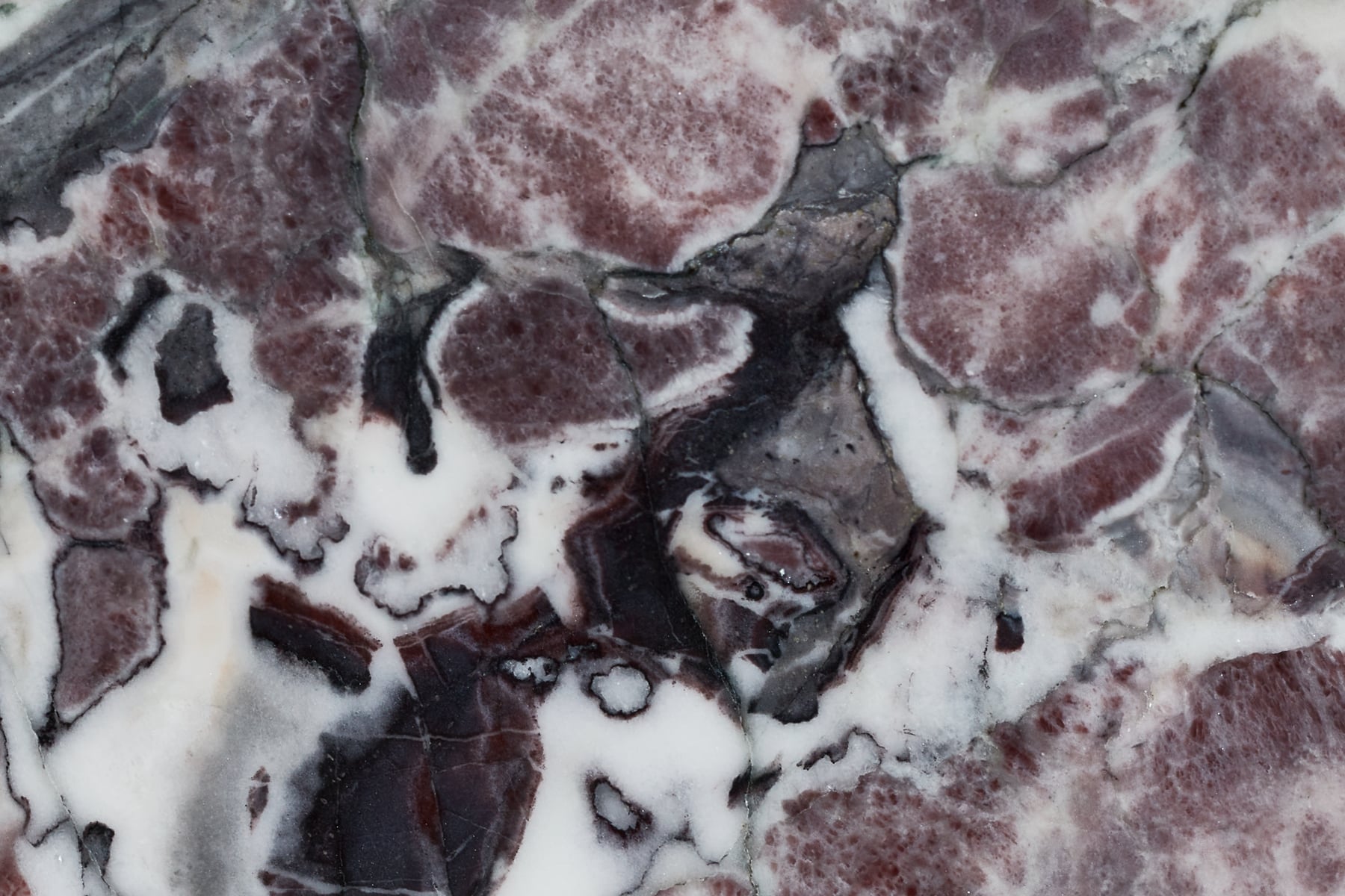 Breccia Capraia Marble Stone: Ultra-high-res texture photo