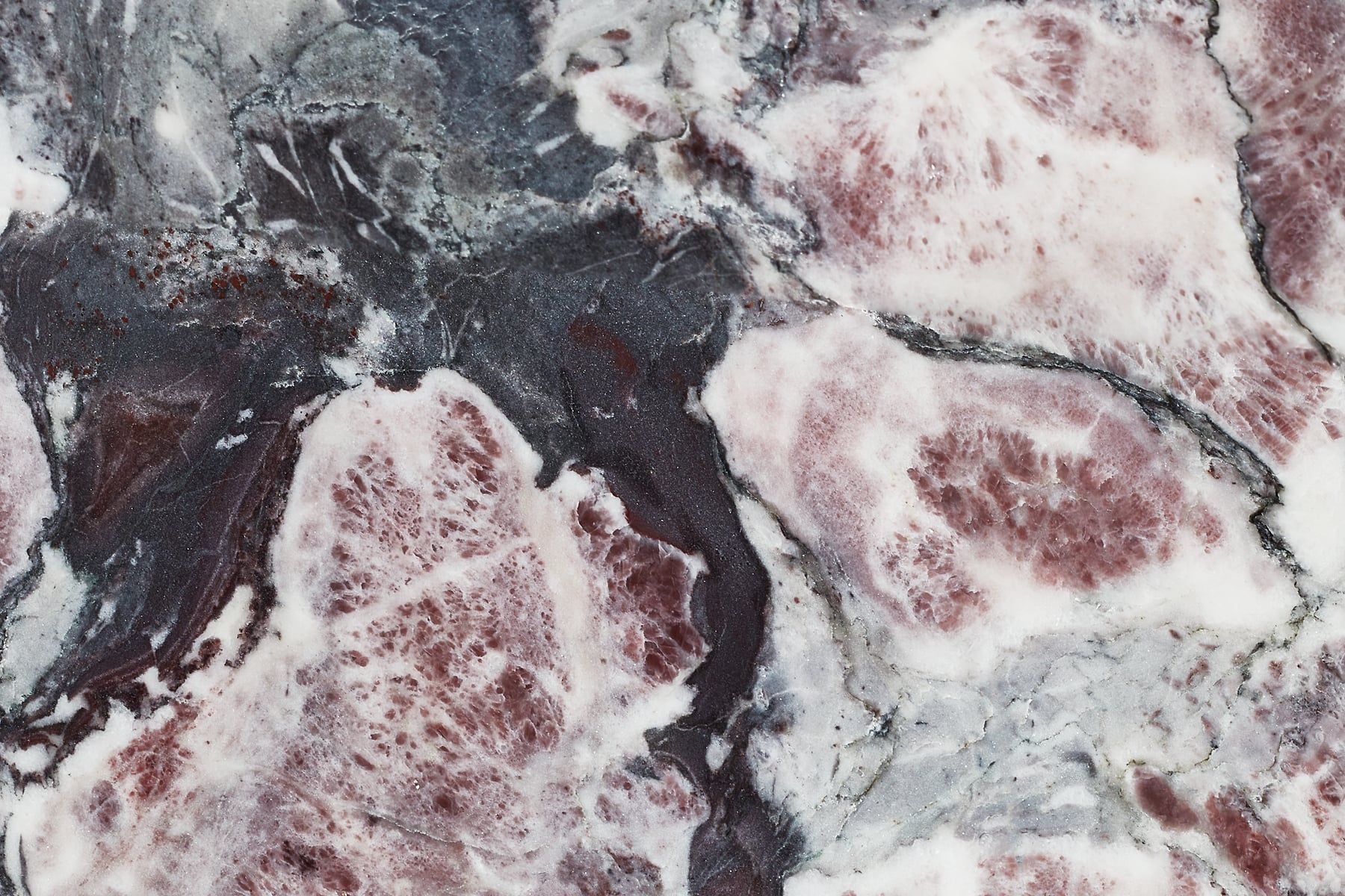 Breccia Capraia Marble Stone: Ultra-high-res texture photo