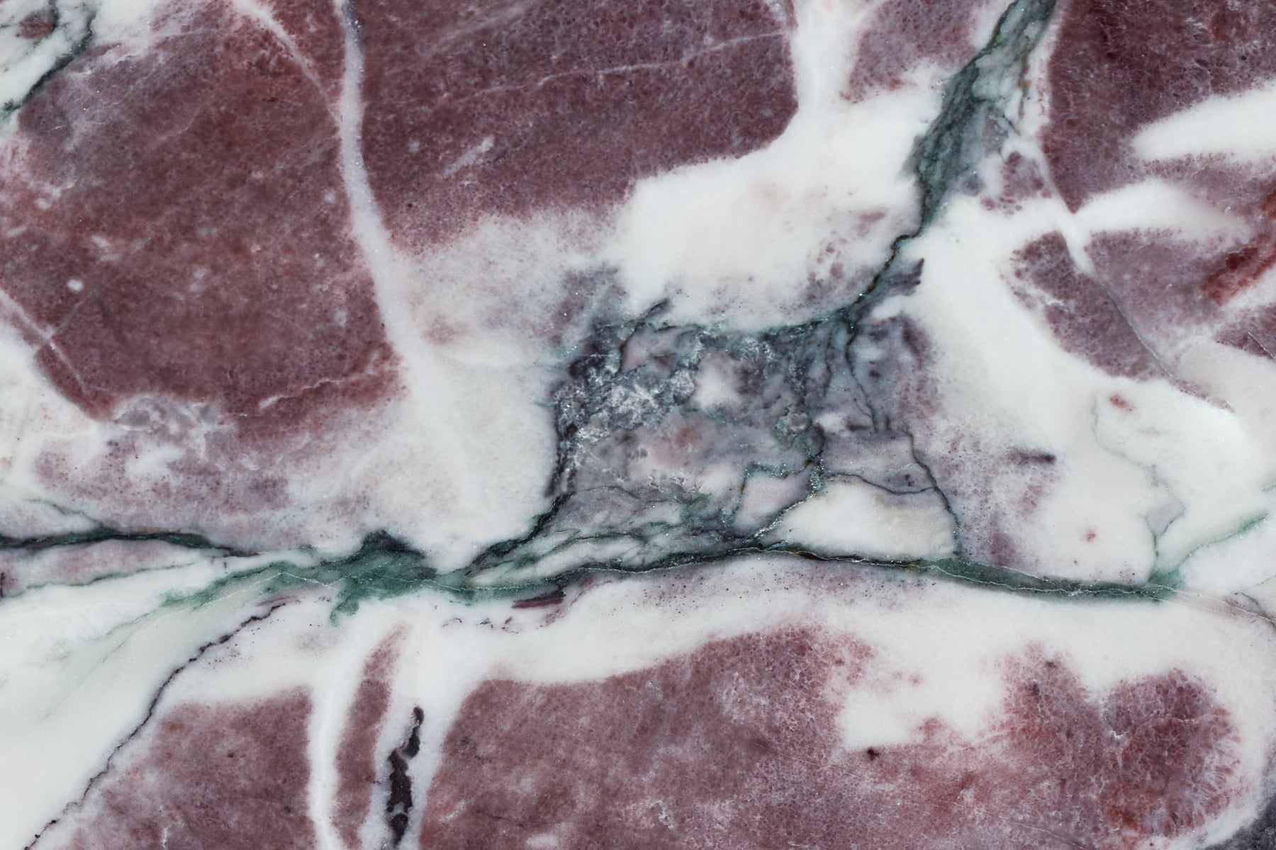 Breccia Capraia Marble Stone: Ultra-high-res texture photo